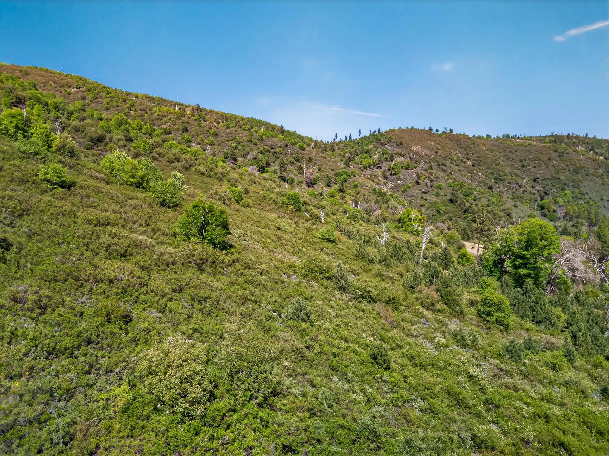 Palomar Panorama Ridge