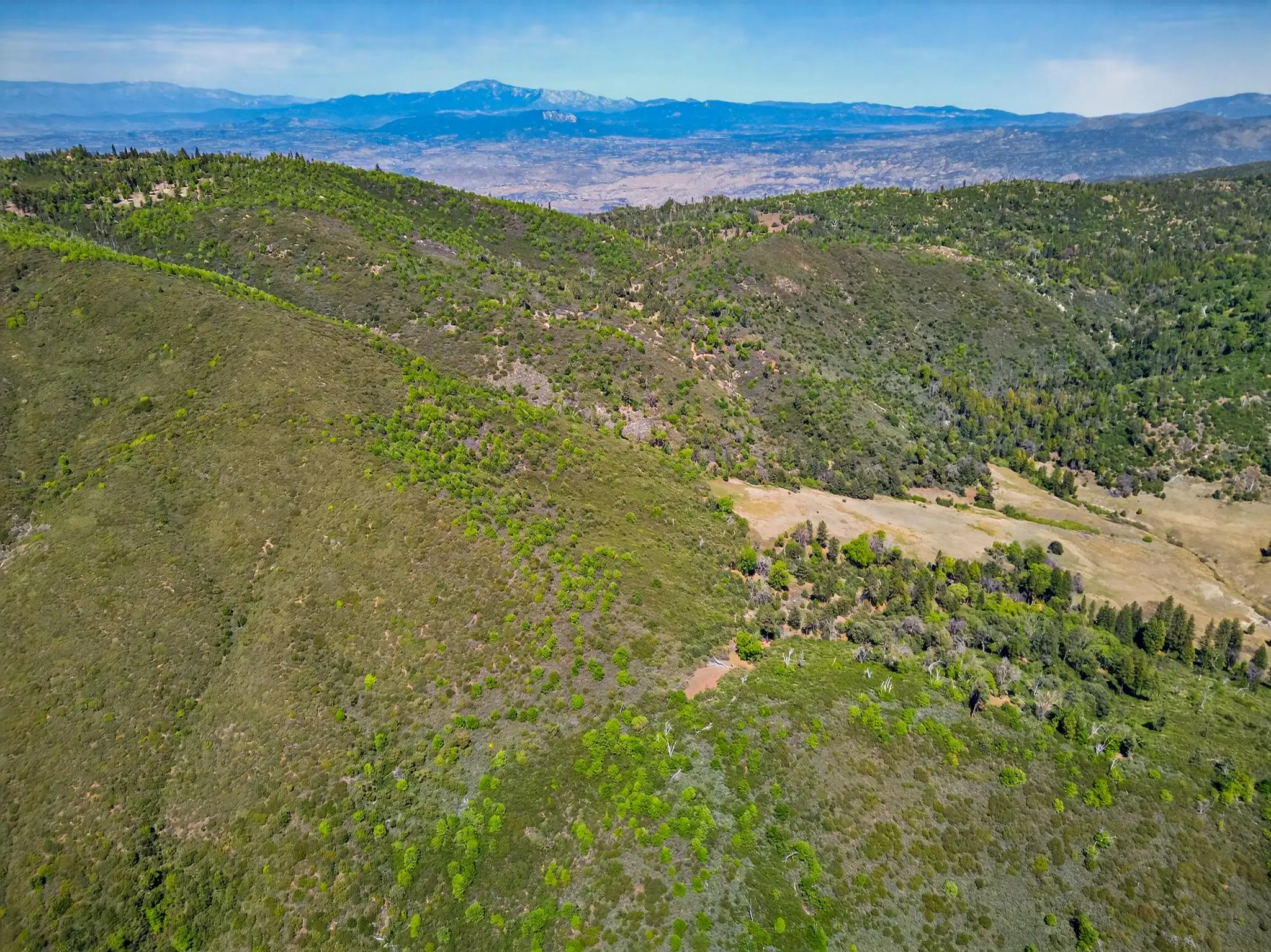 Palomar Panorama Ridge