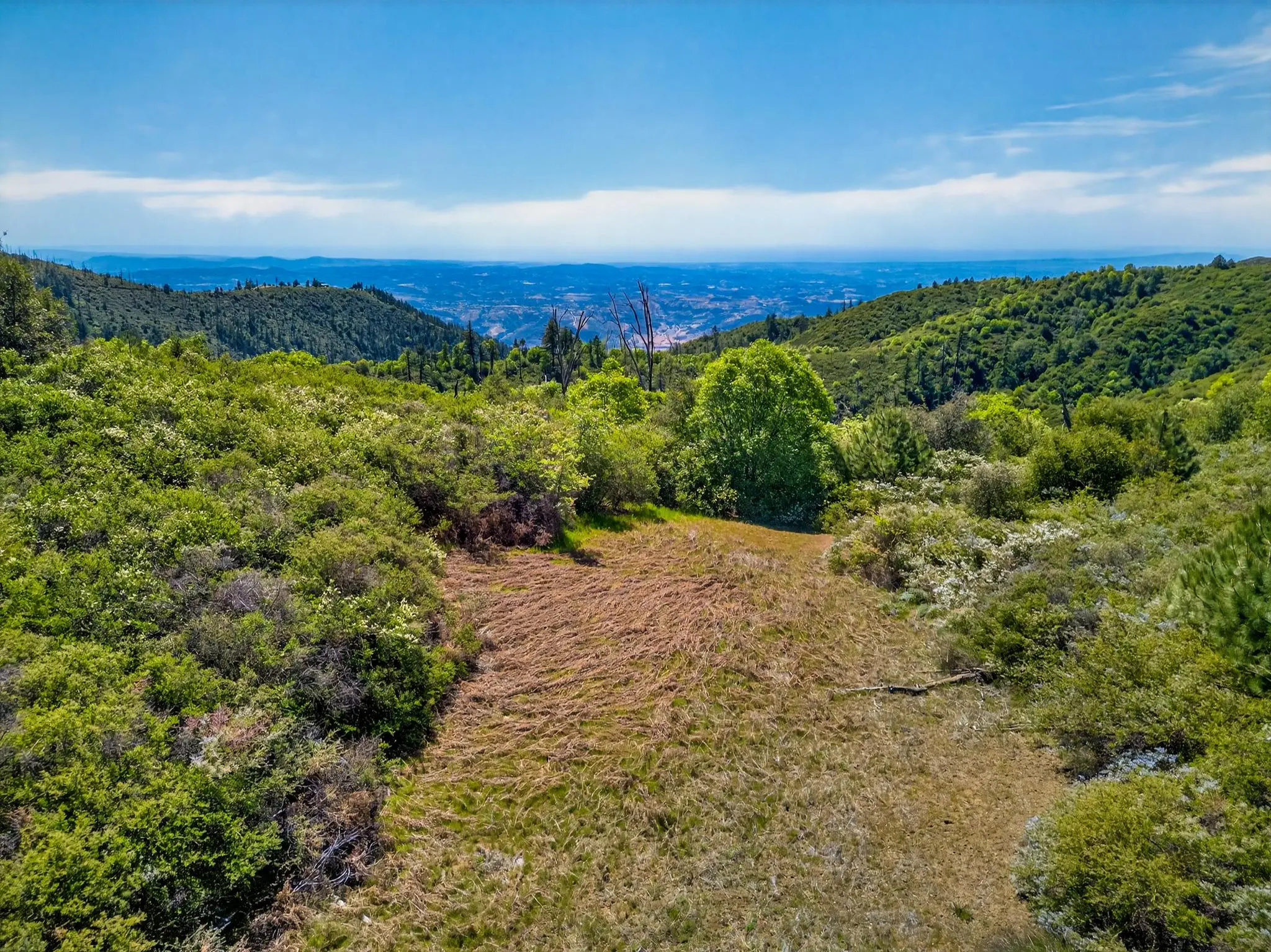 Palomar Panorama Ridge