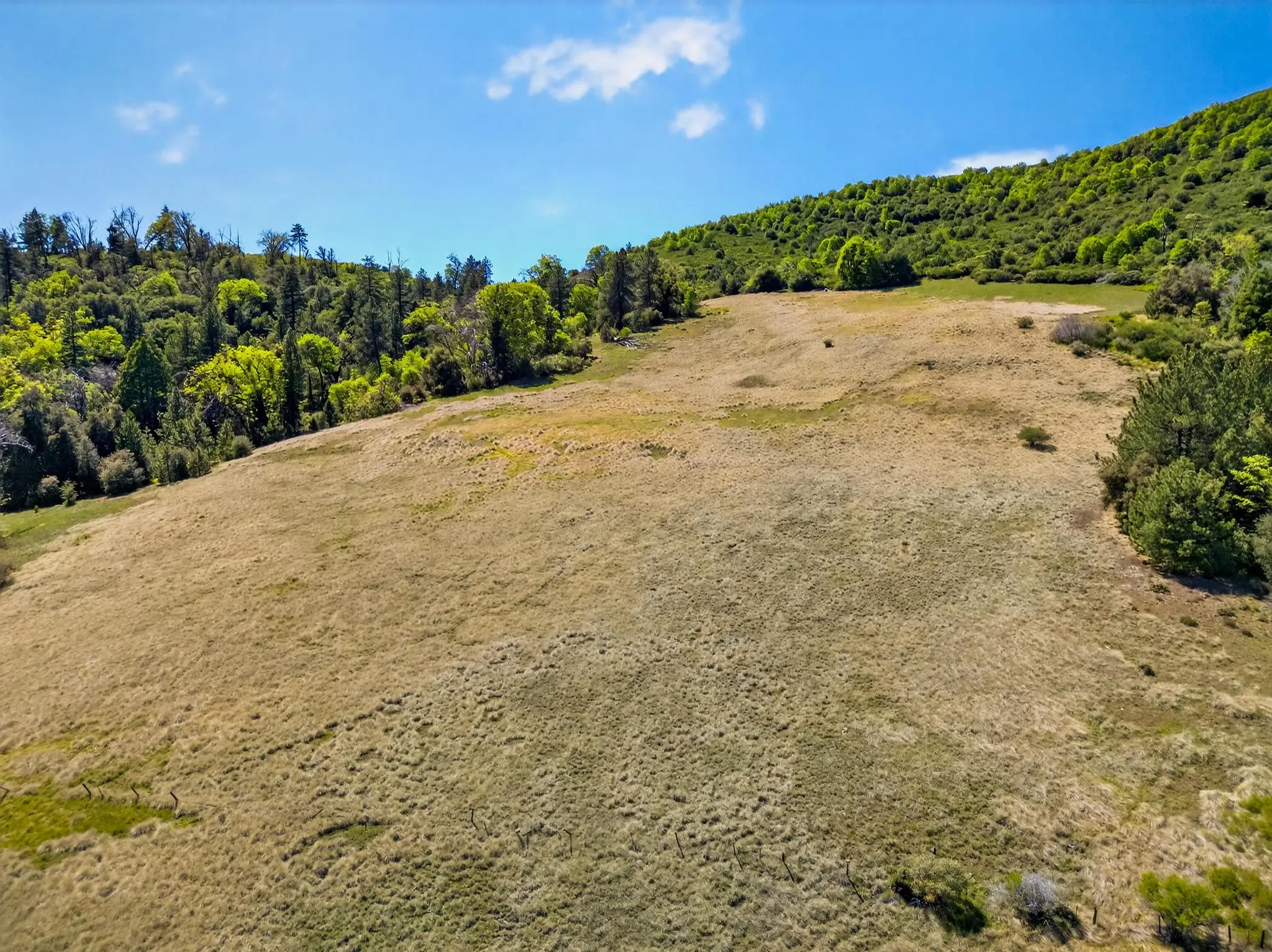 Palomar Panorama Ridge