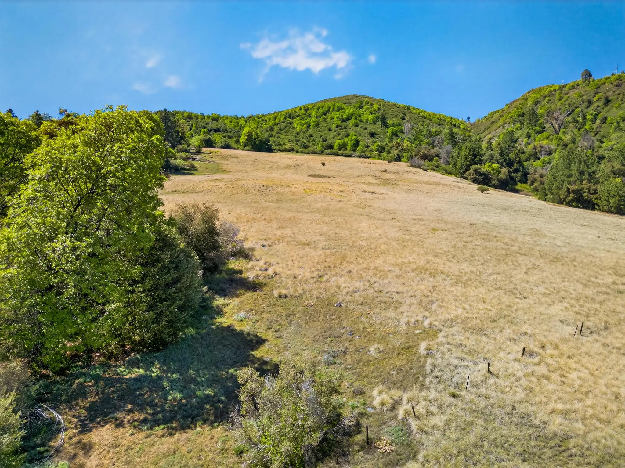 Palomar Panorama Ridge