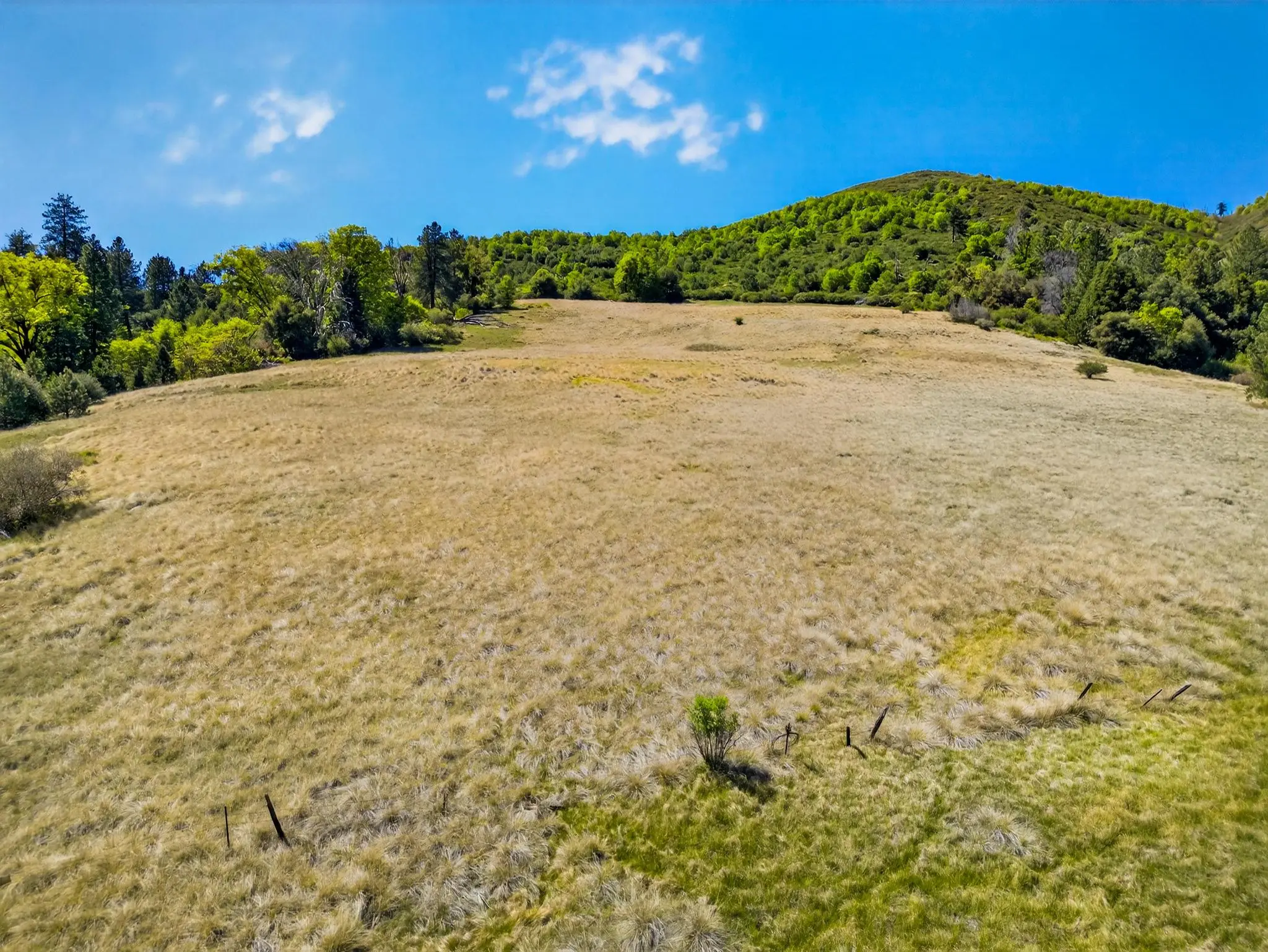 Palomar Panorama Ridge