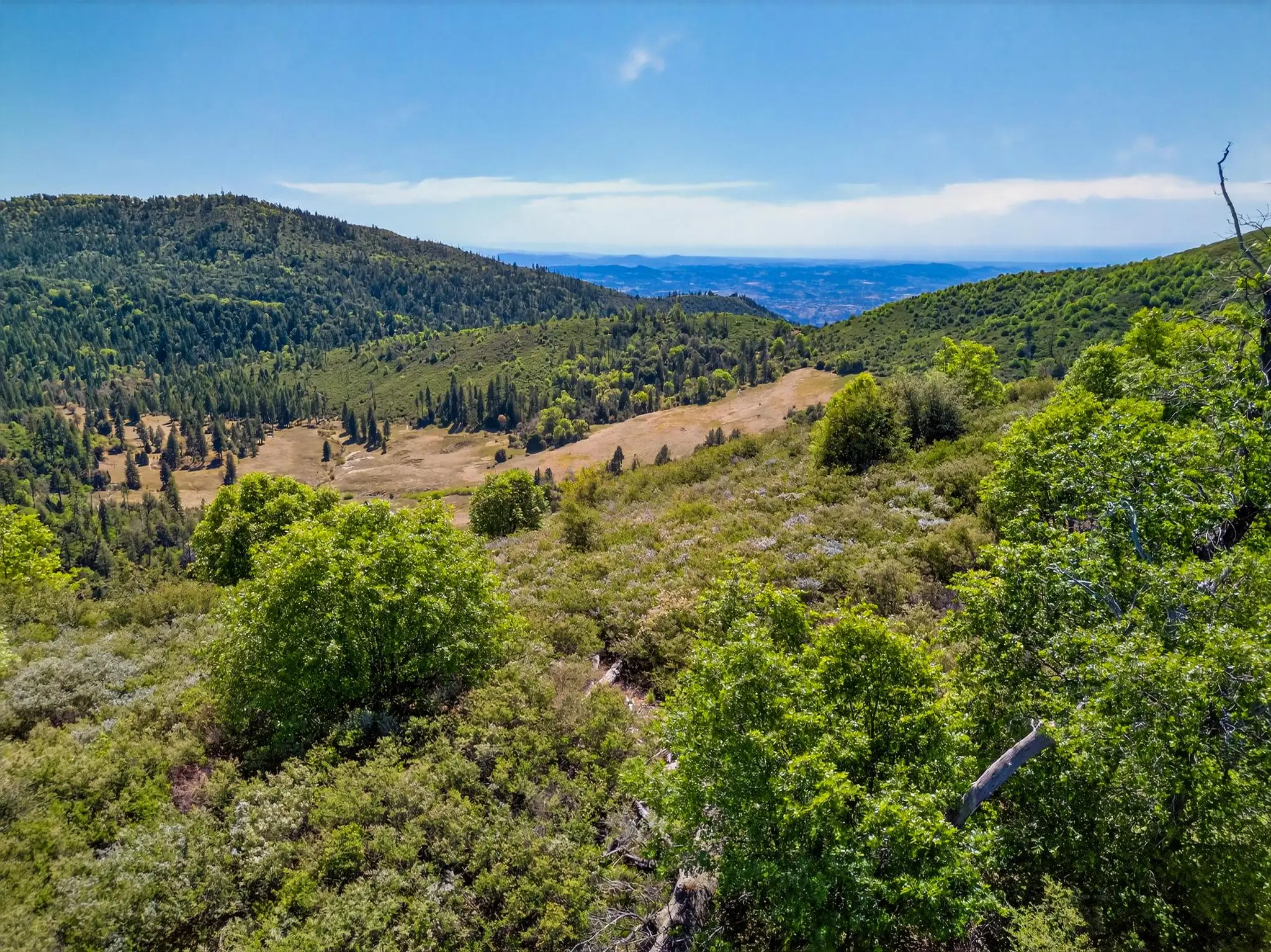 Palomar Panorama Ridge