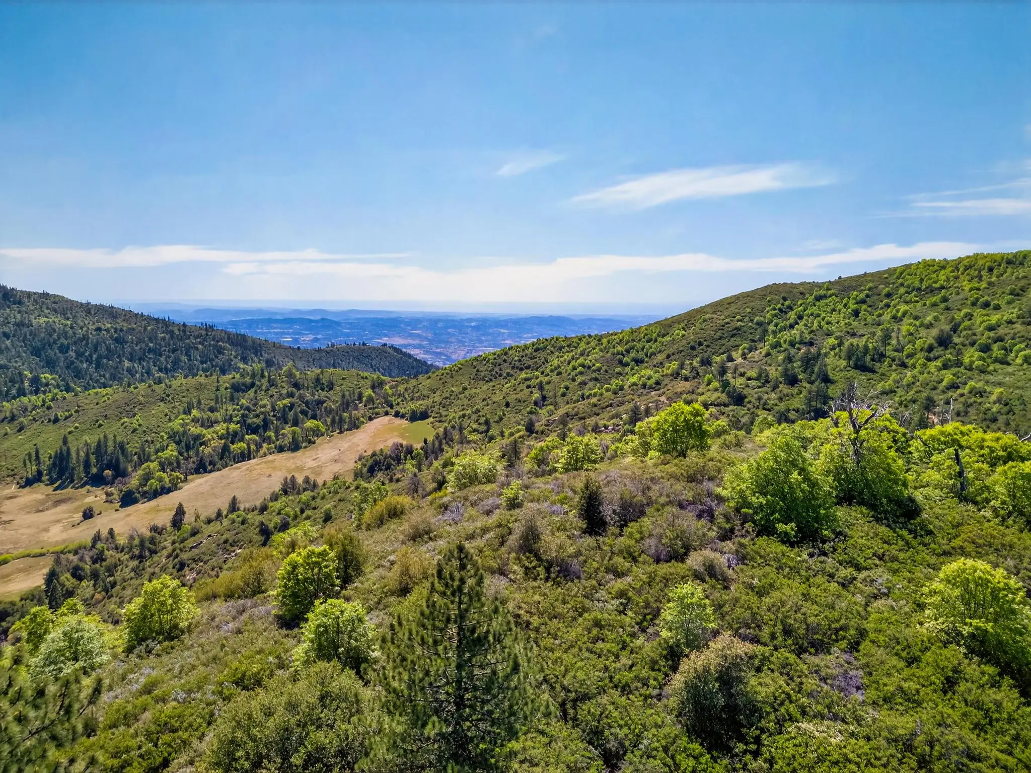 Palomar Panorama Ridge