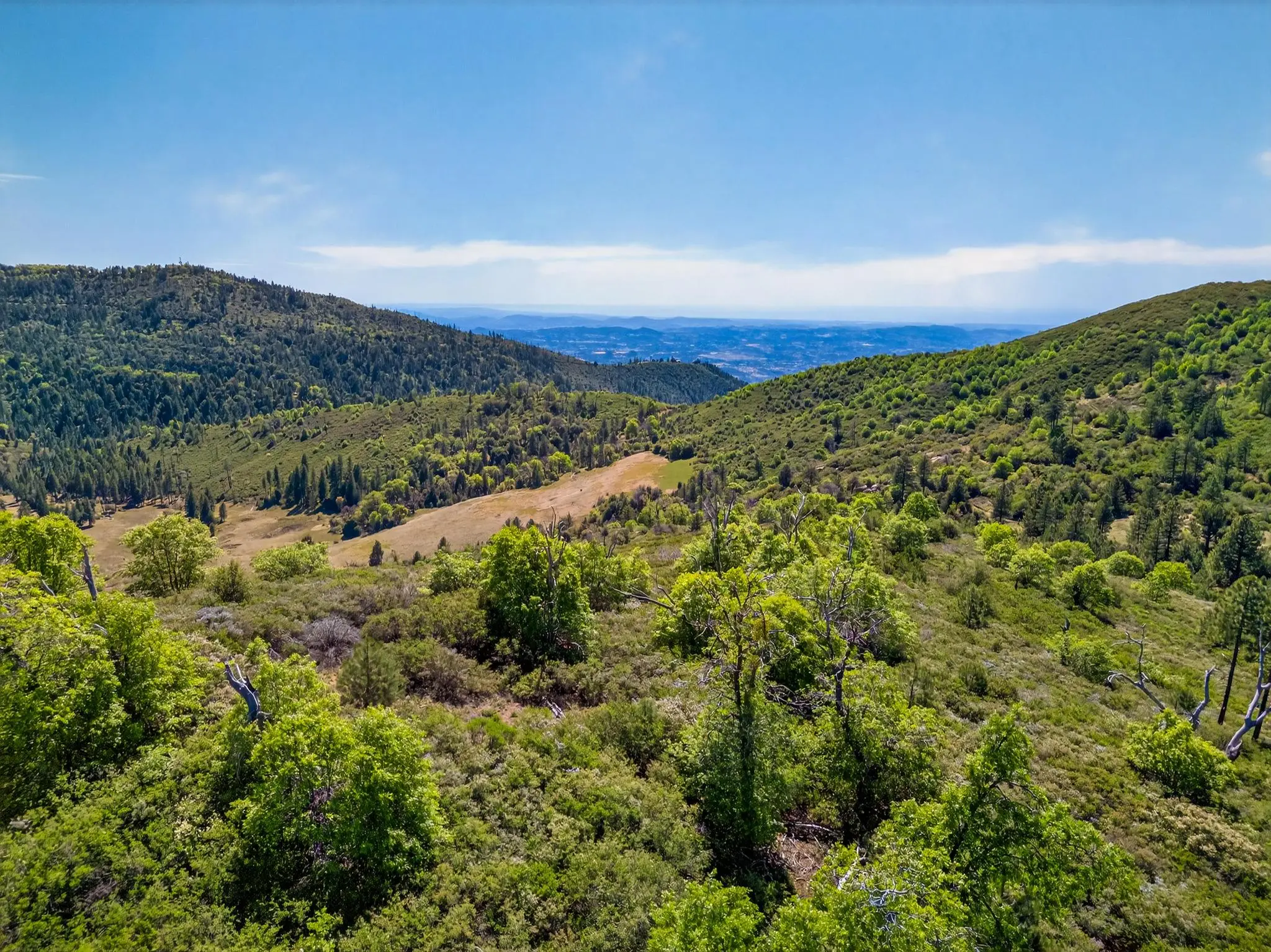 Palomar Panorama Ridge