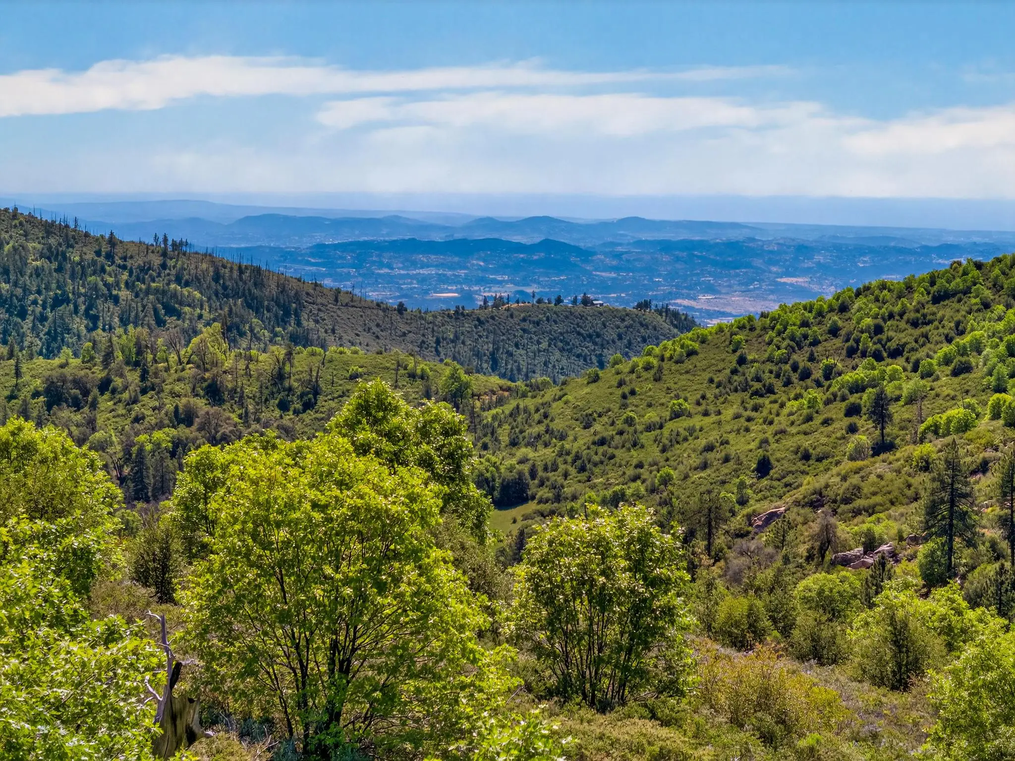 Palomar Panorama Ridge
