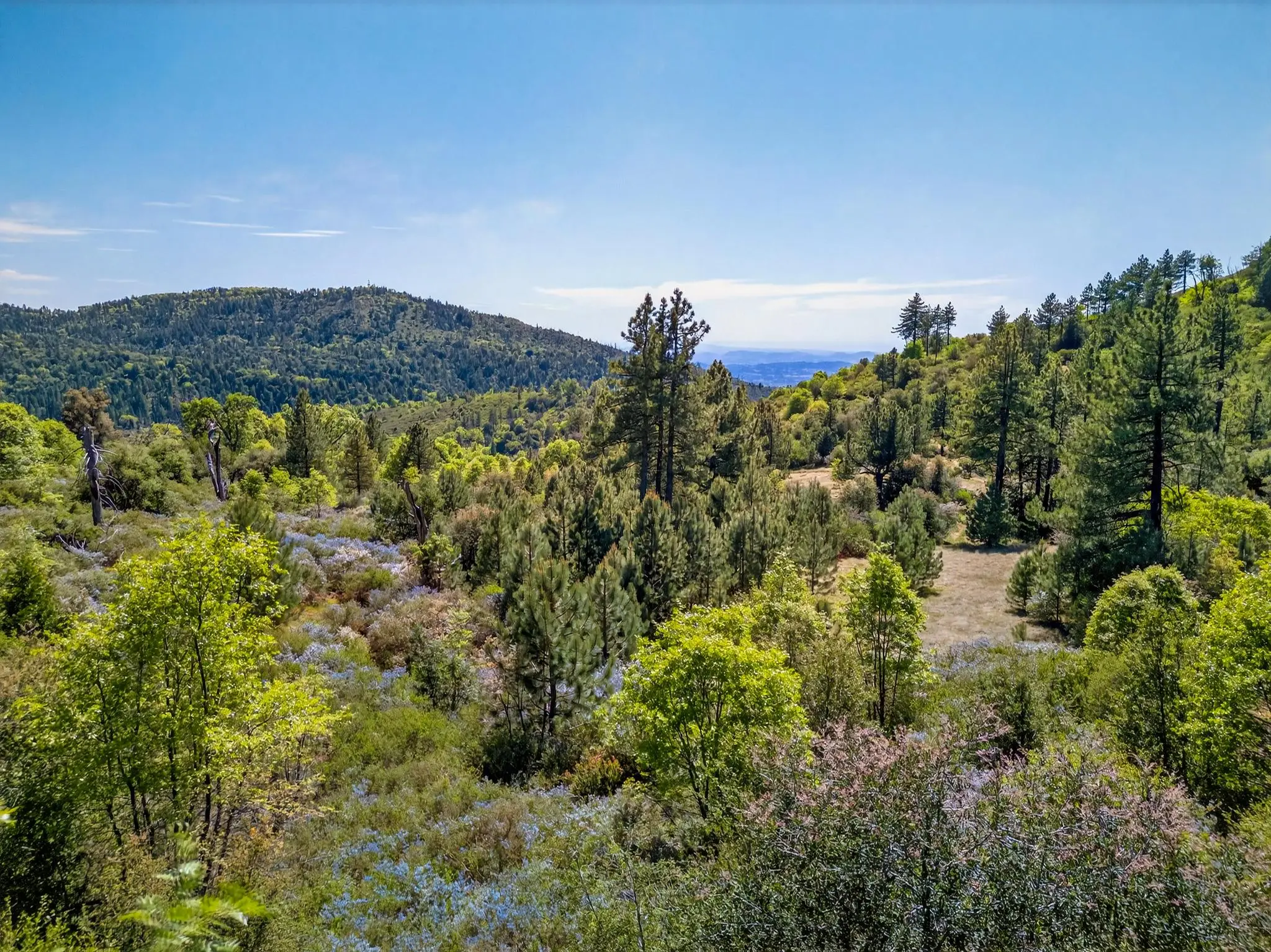 Palomar Panorama Ridge