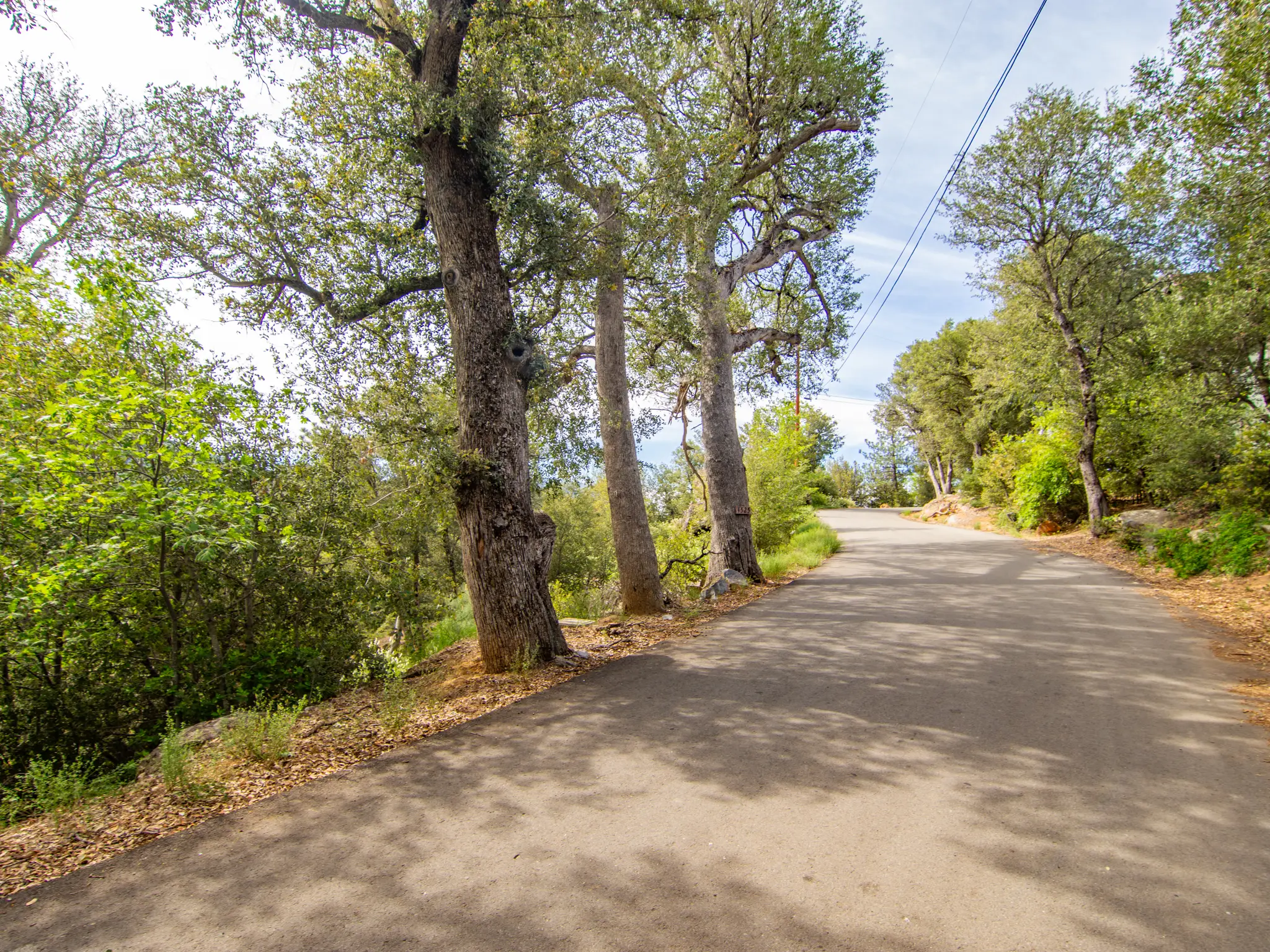 Oak Woodland Home Site