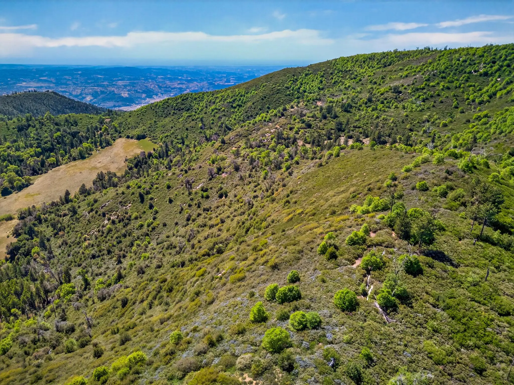 Palomar Panorama Ridge