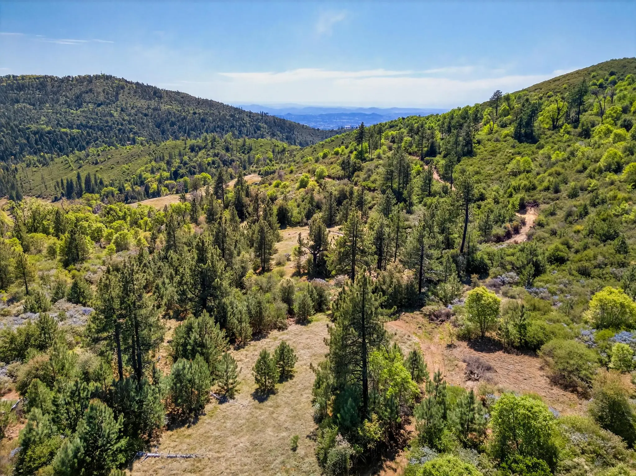 Palomar Panorama Ridge
