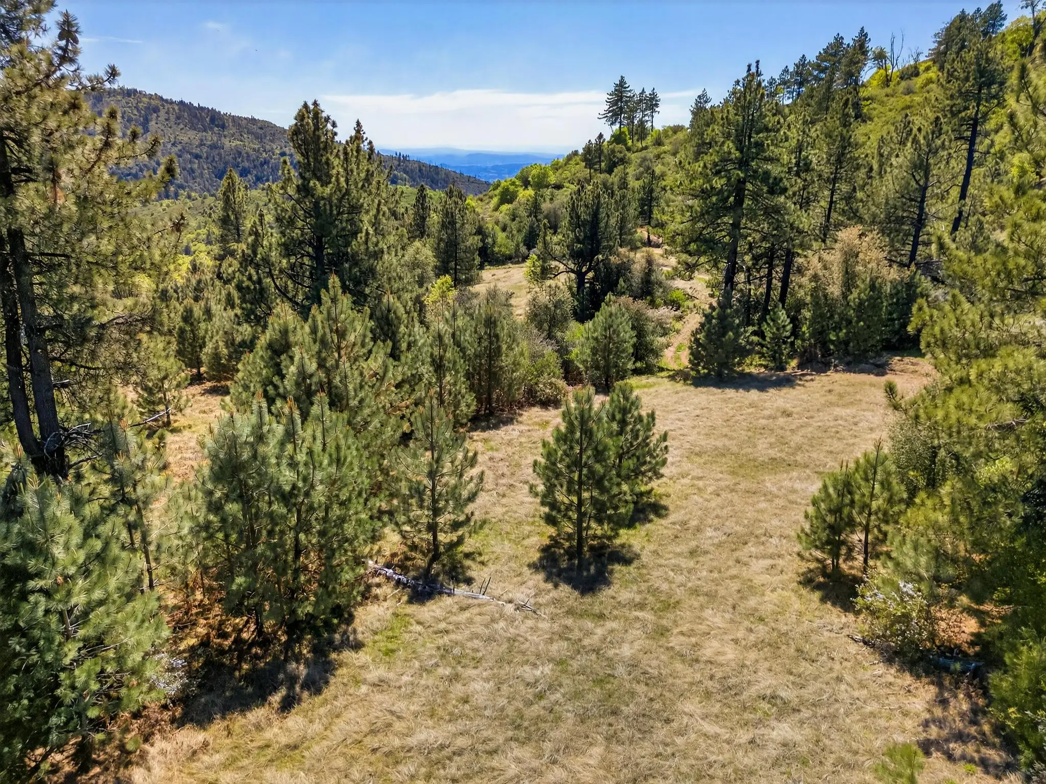 Palomar Panorama Ridge