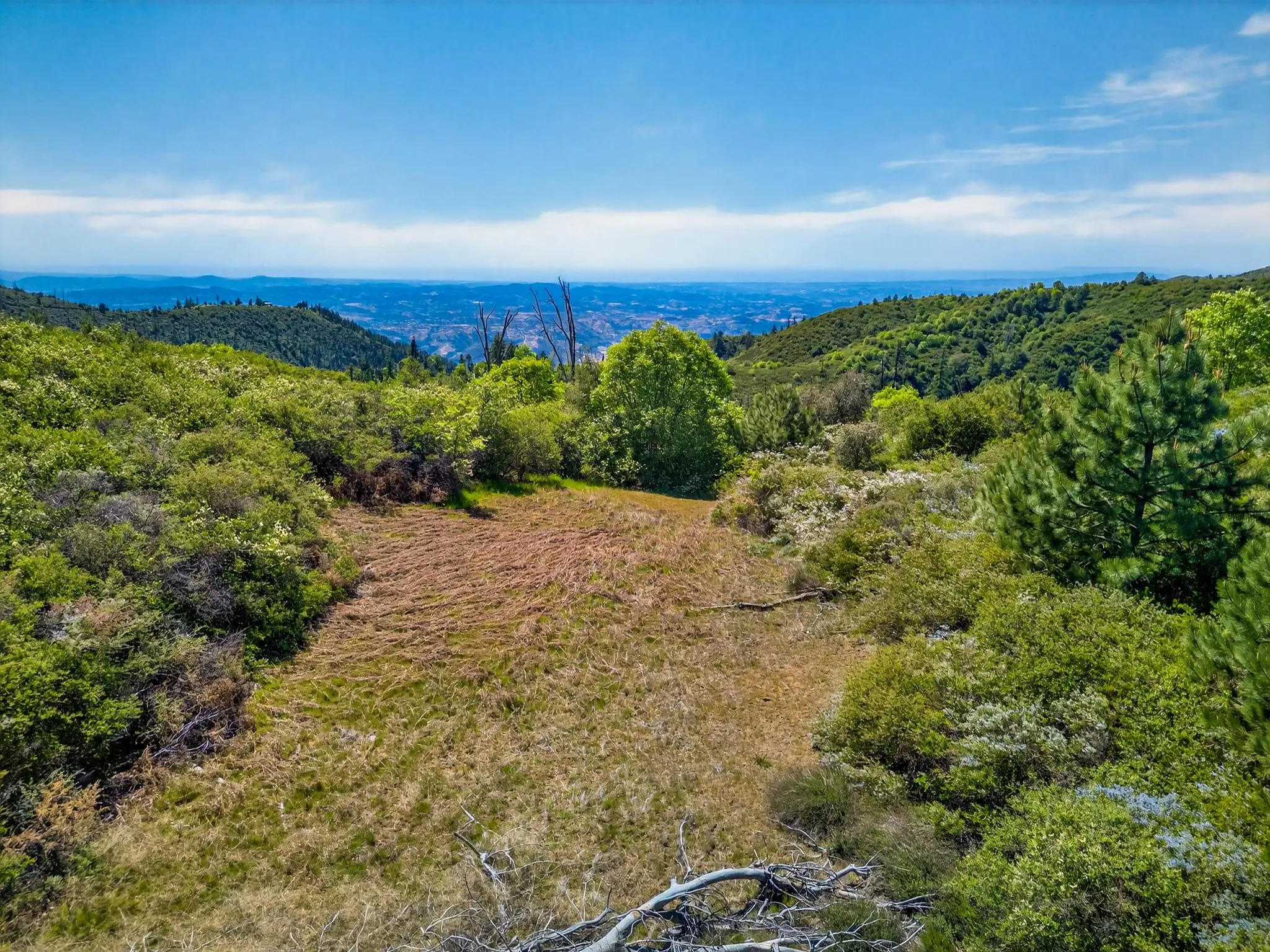 Palomar Panorama Ridge