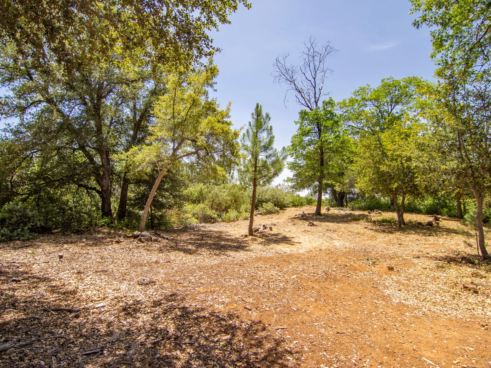 10 Cedar Road Retreat