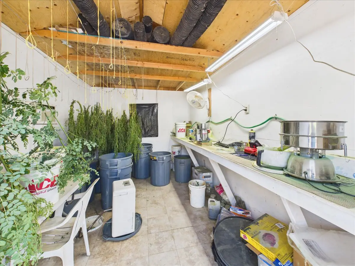 Moringa Farm