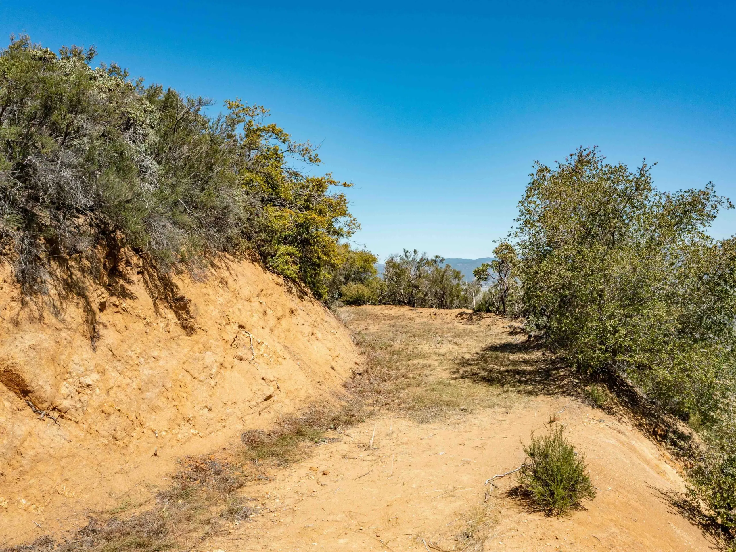 Bobcat Trail Getaway