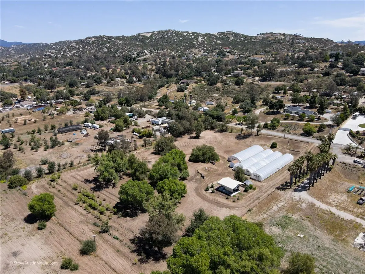 Moringa Farm