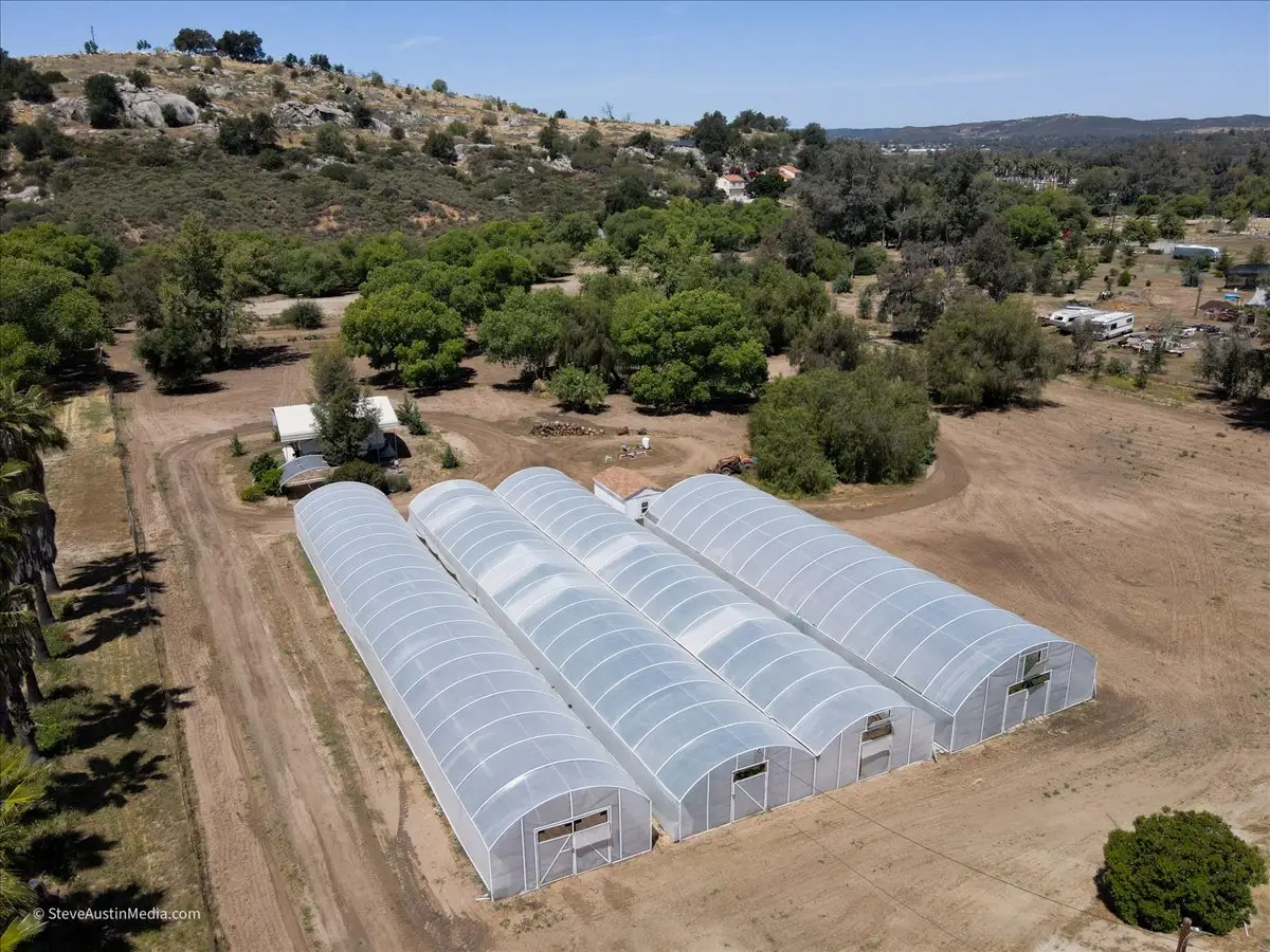 Moringa Farm