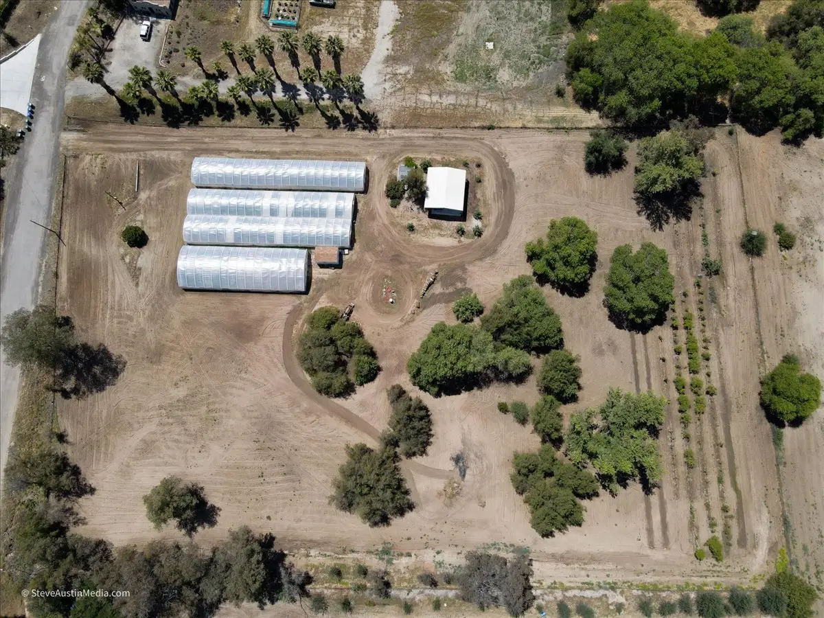 Moringa Farm