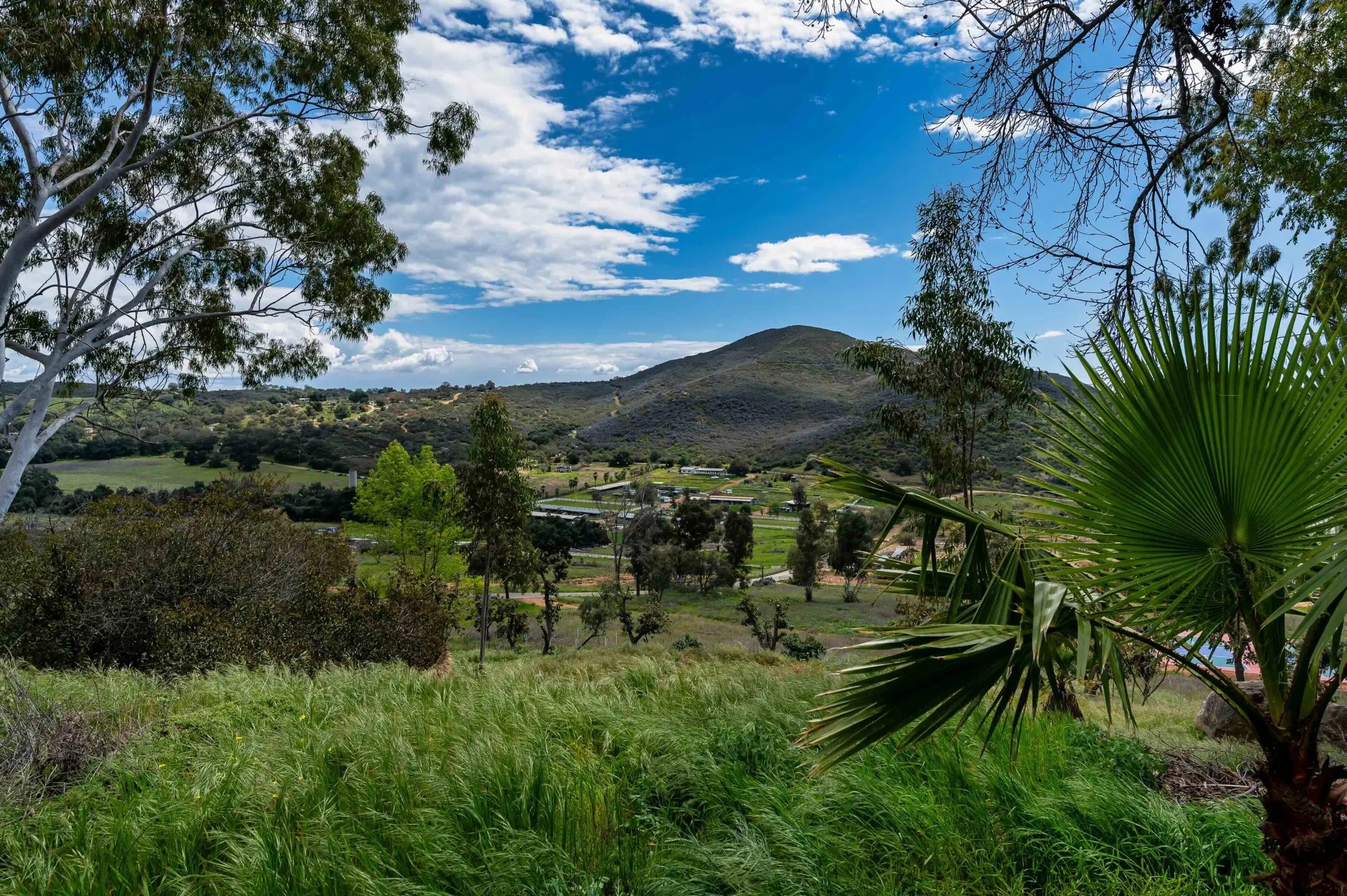 Guardian Ranch