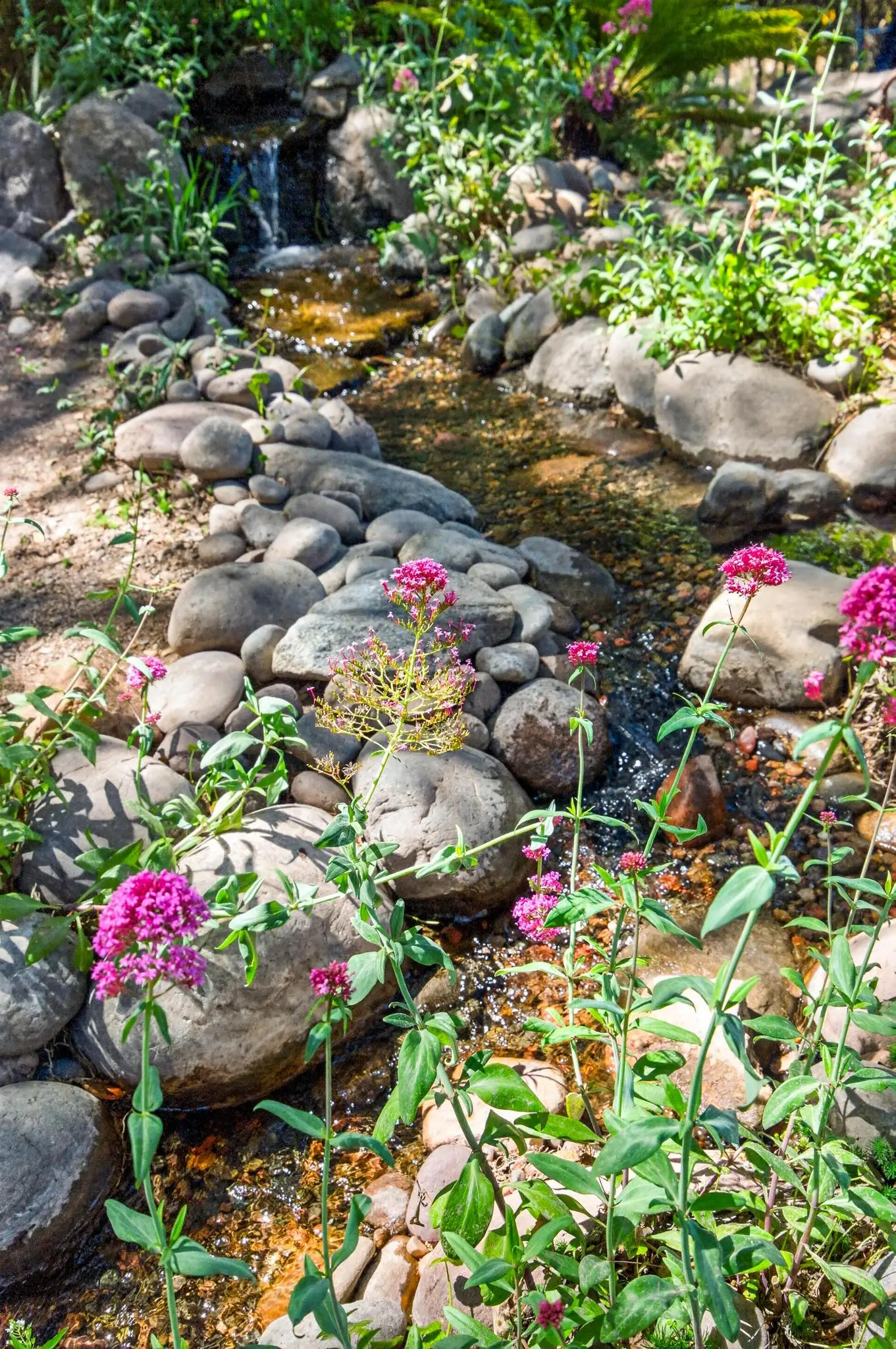 Stone Sanctuary Garden Escape
