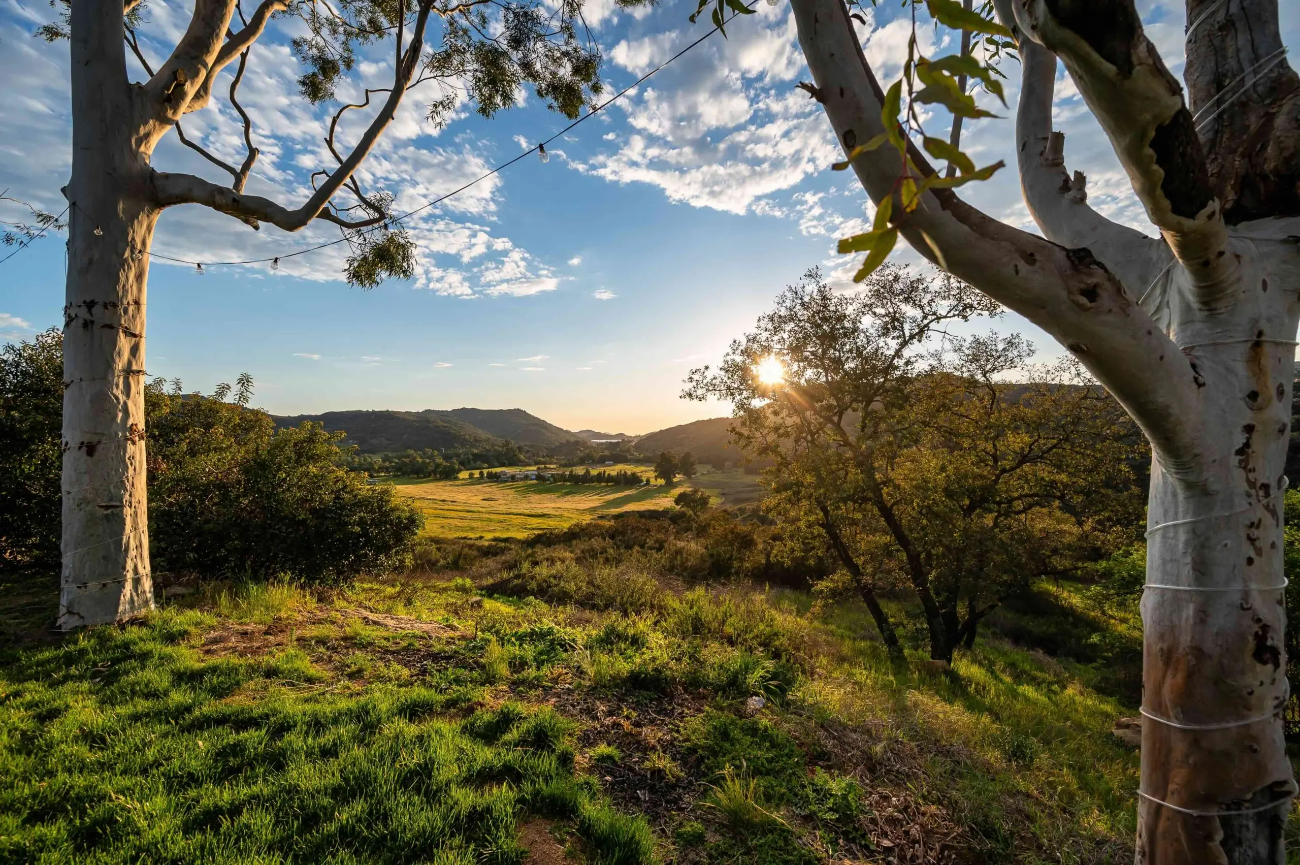 Guardian Ranch