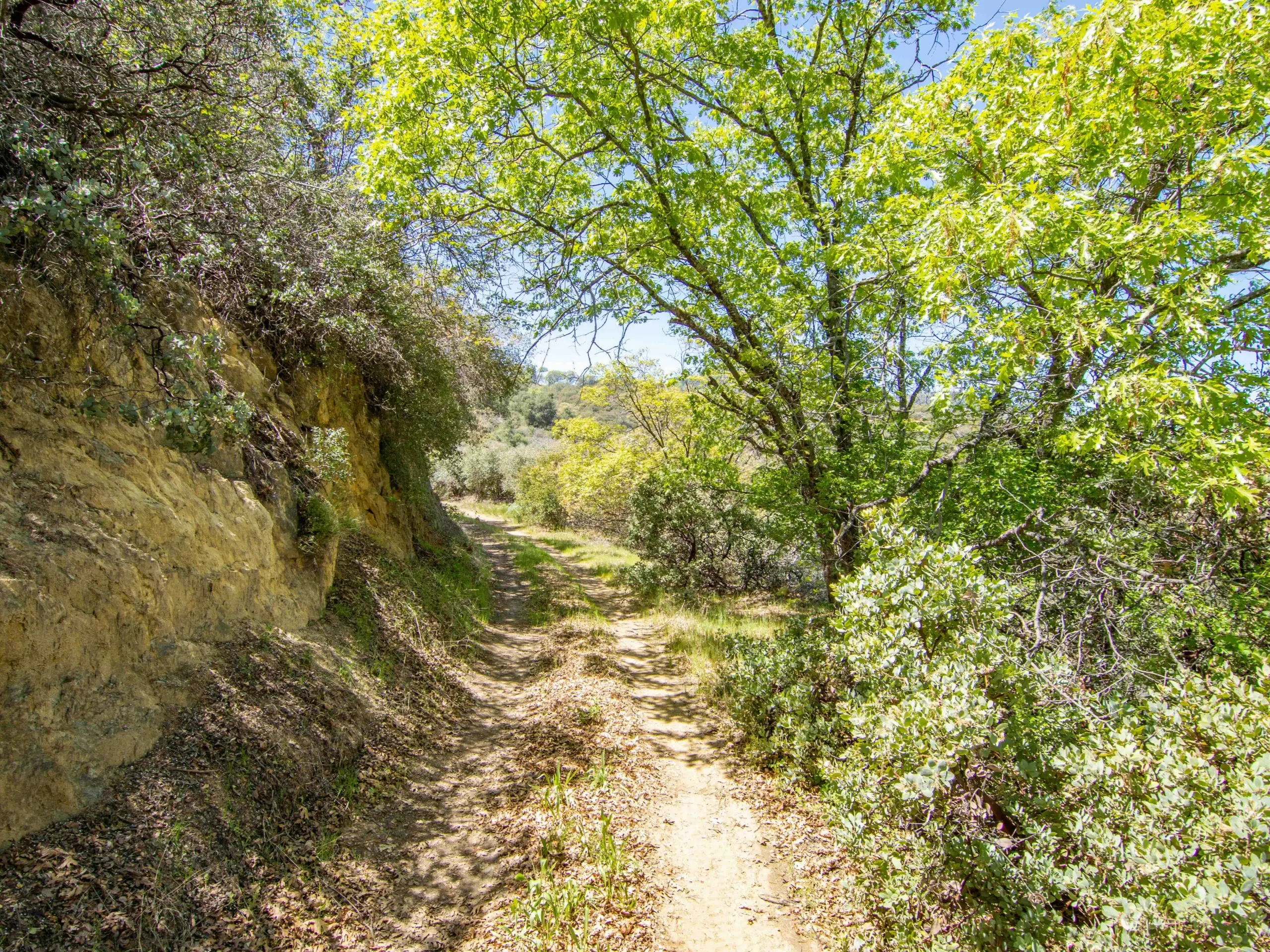 Bobcat Trail Getaway