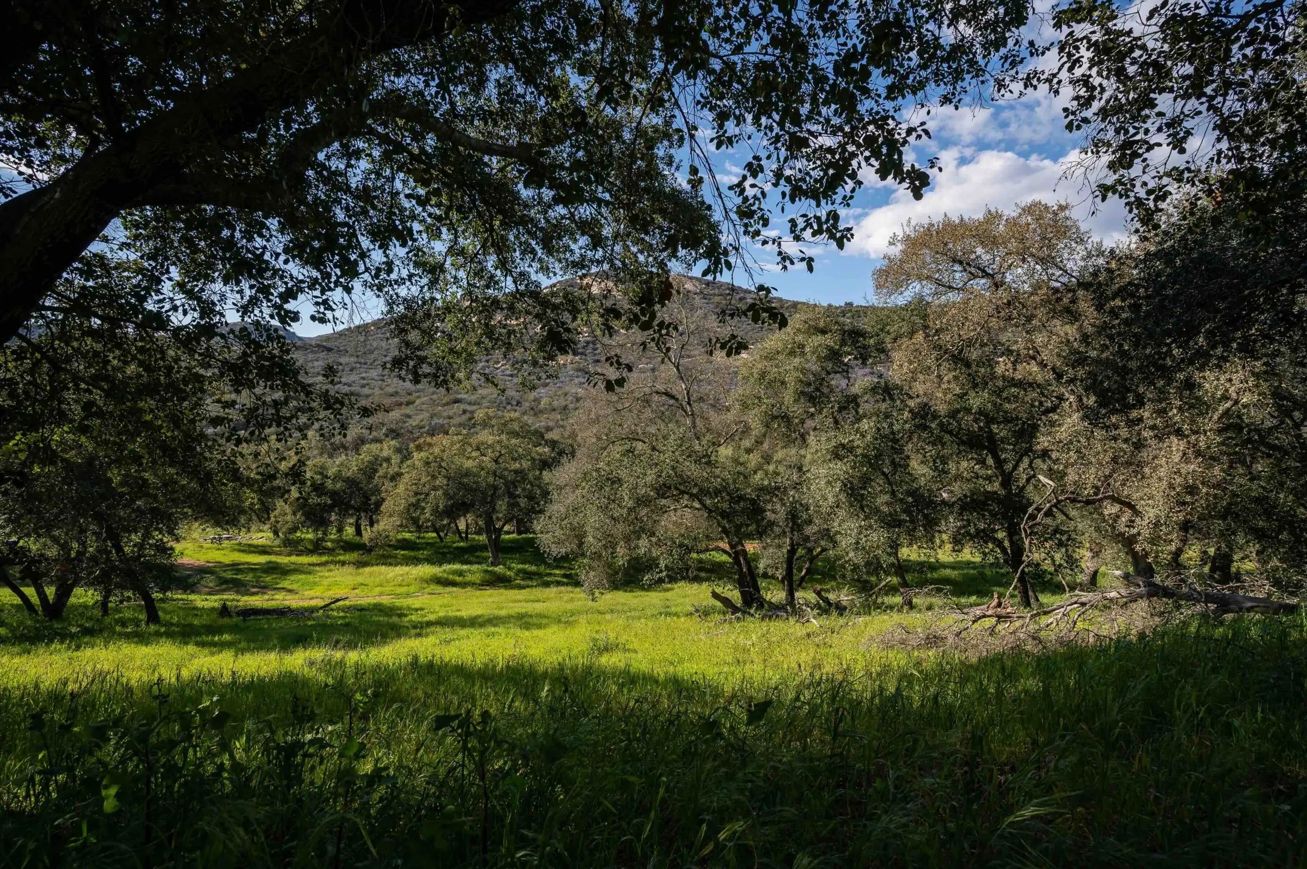 Guardian Ranch