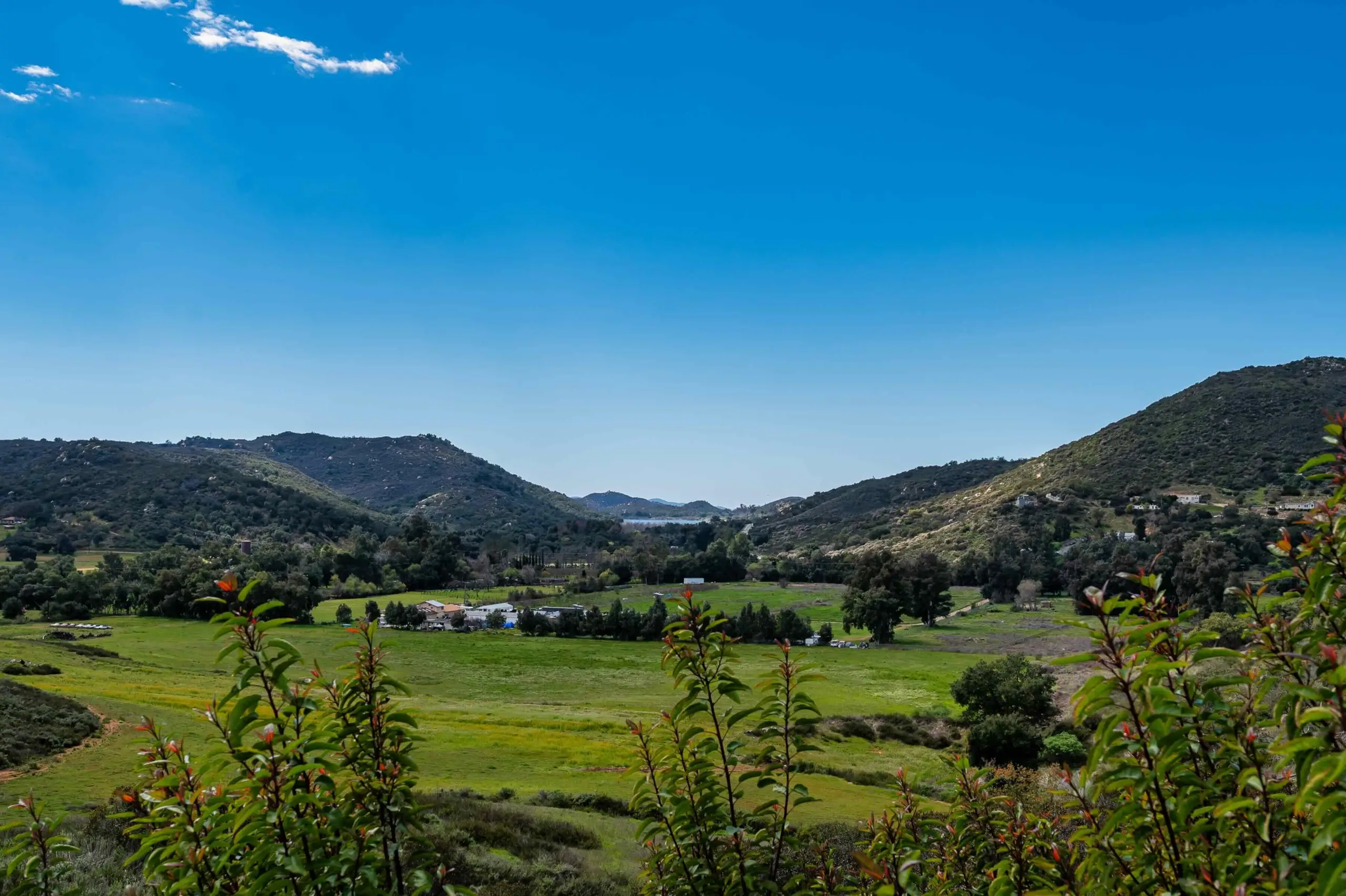 Guardian Ranch