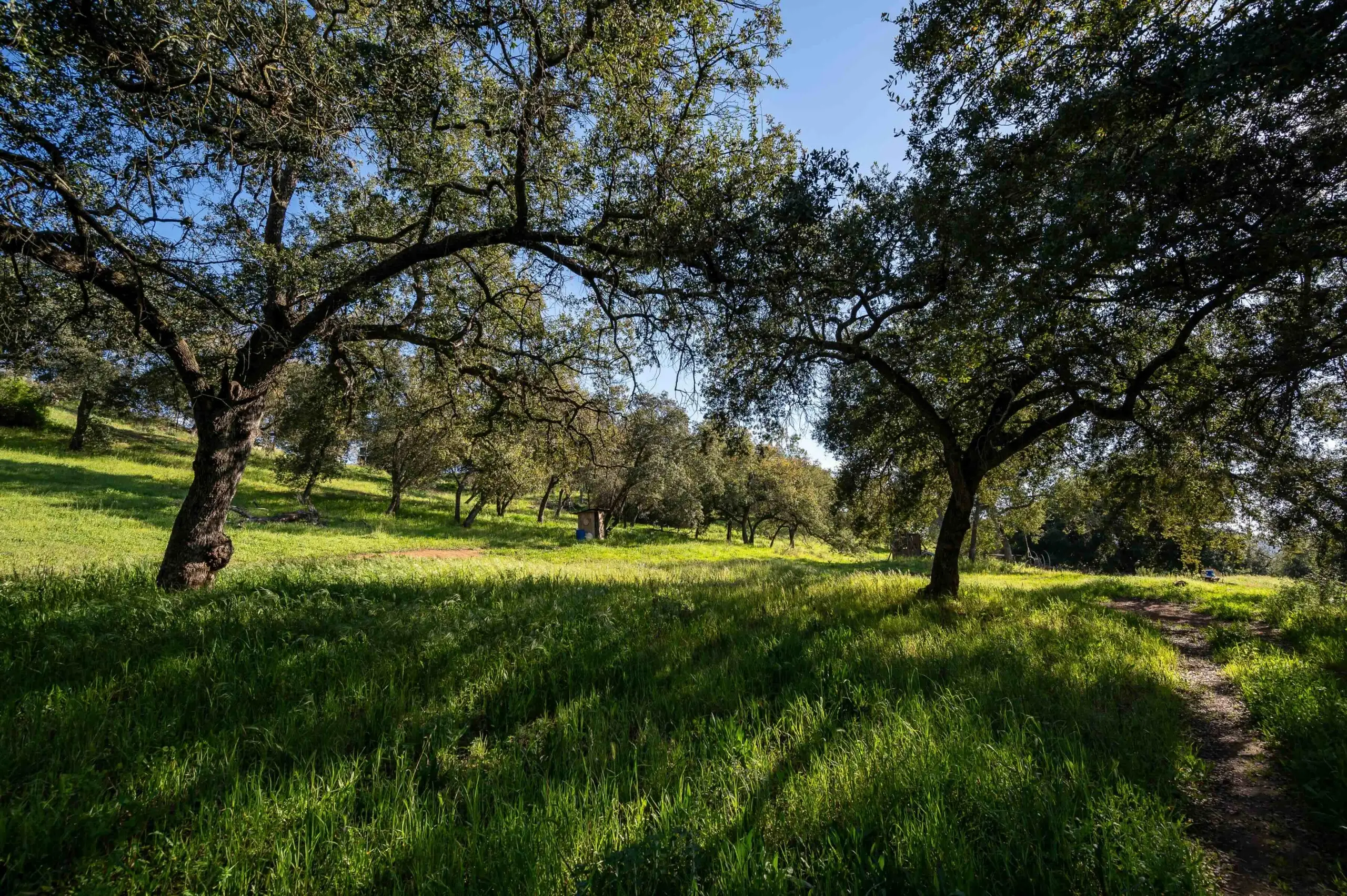 Guardian Ranch