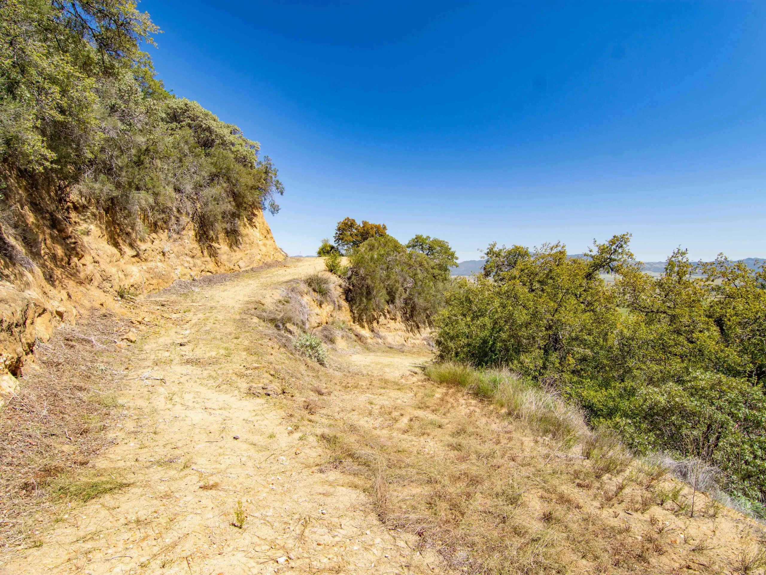 Bobcat Trail Getaway