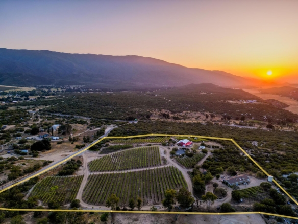 Hawk Watch Vineyard & Residence