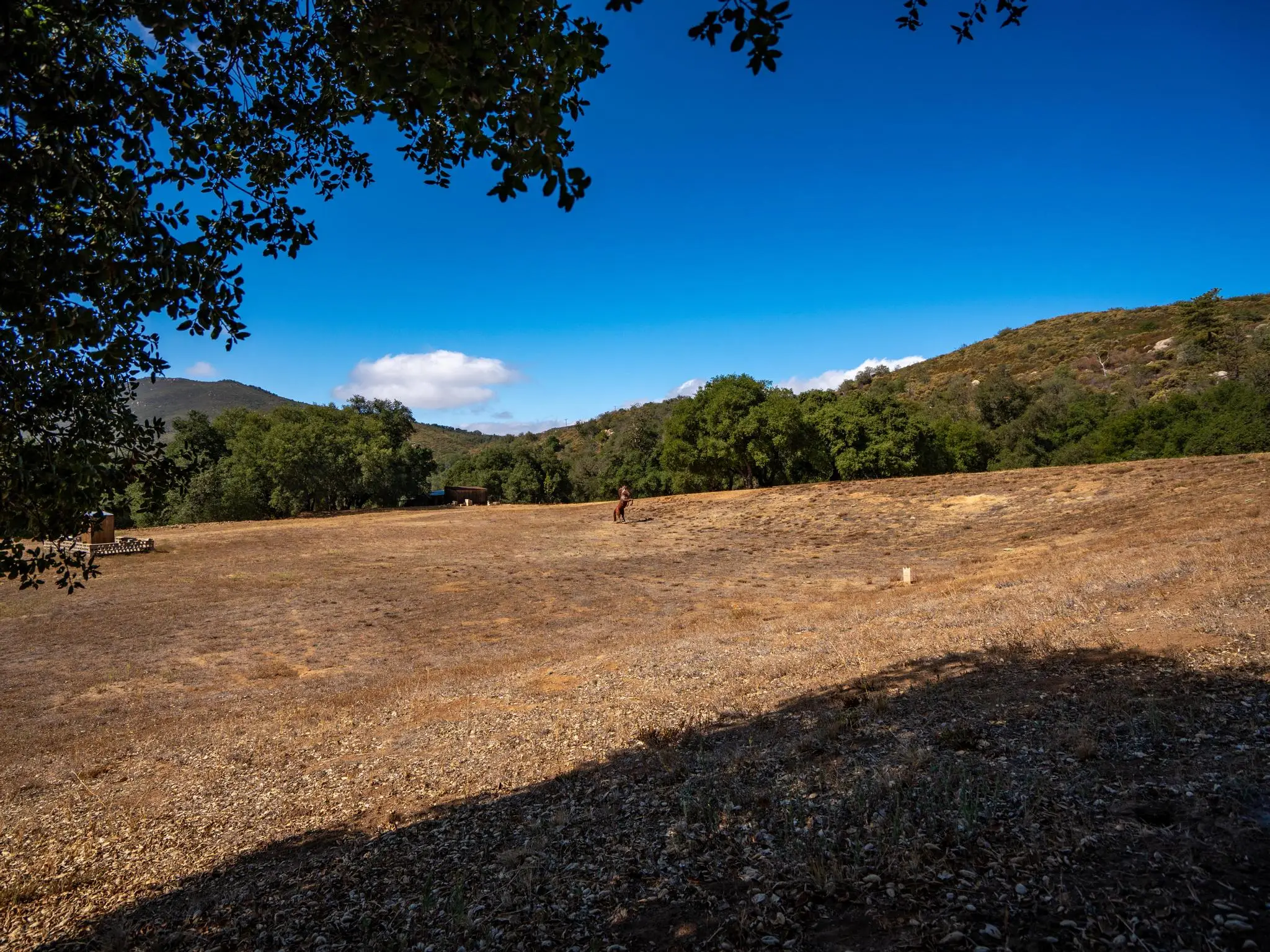 Meadow Ranch