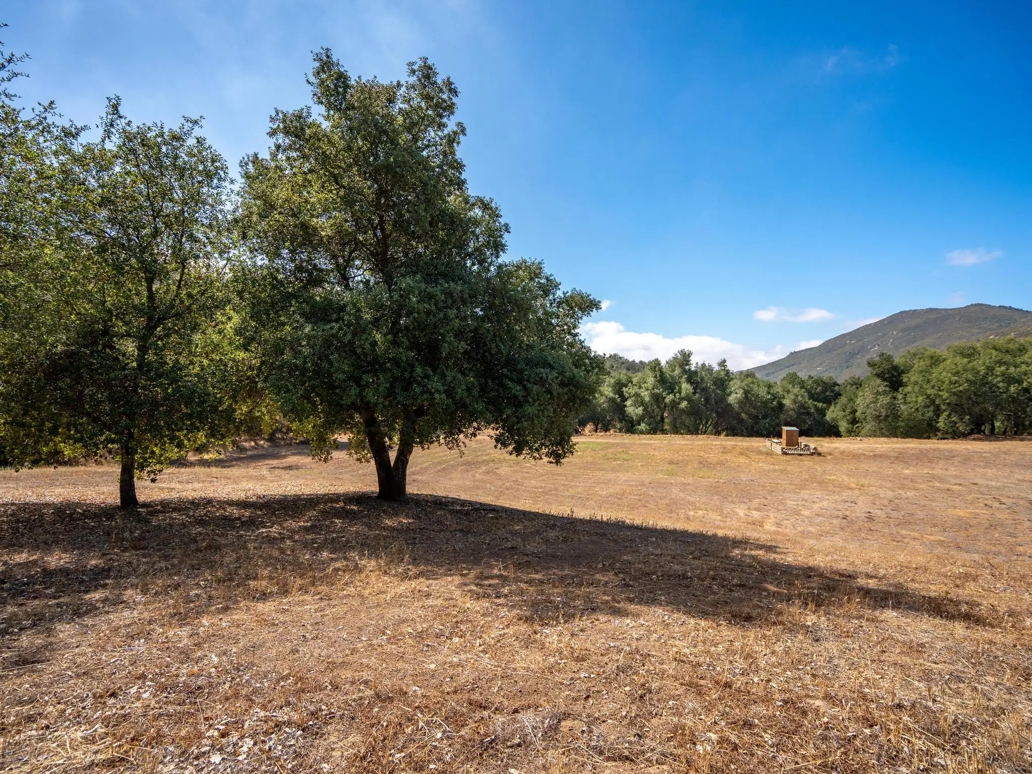 Meadow Ranch