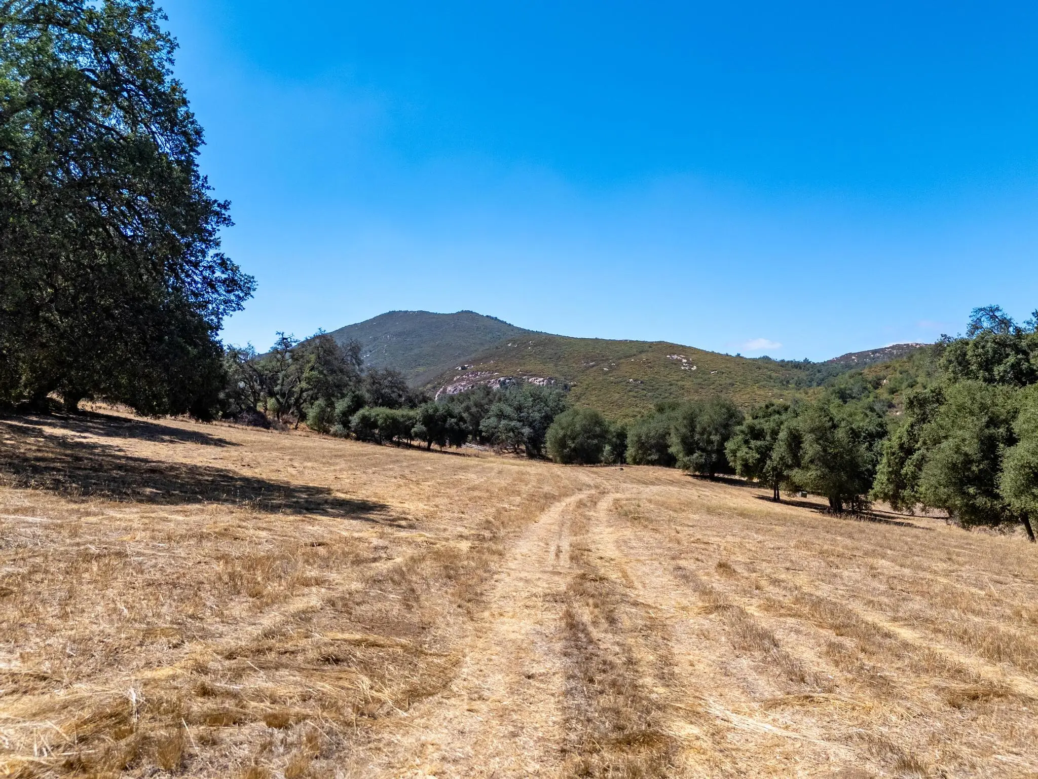 Meadow Ranch