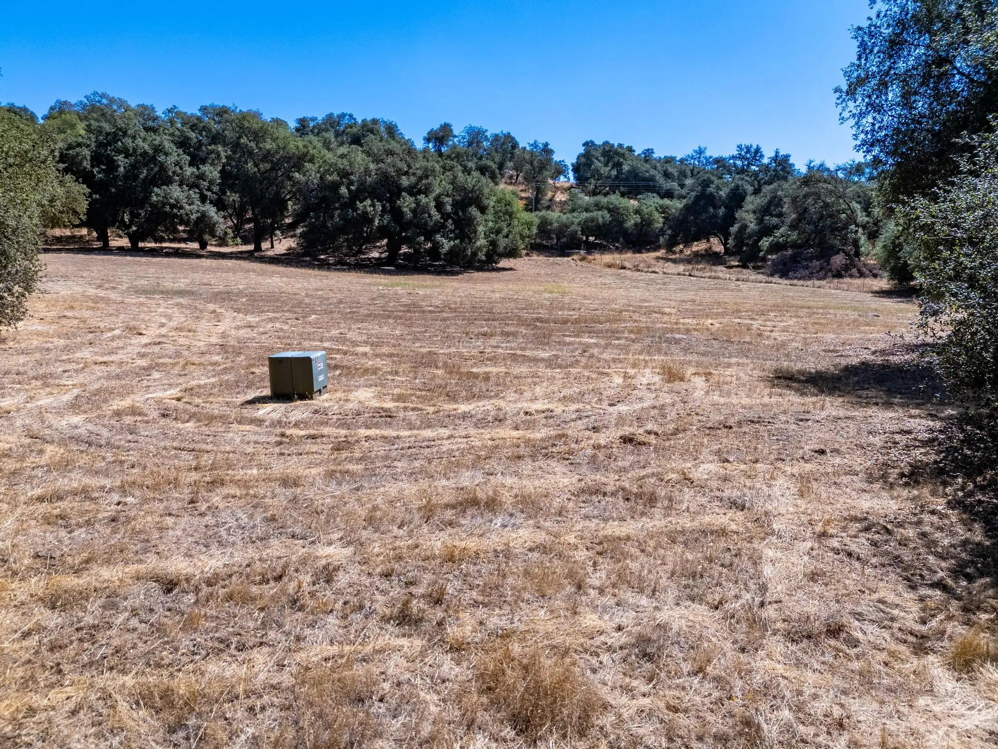 Meadow Ranch