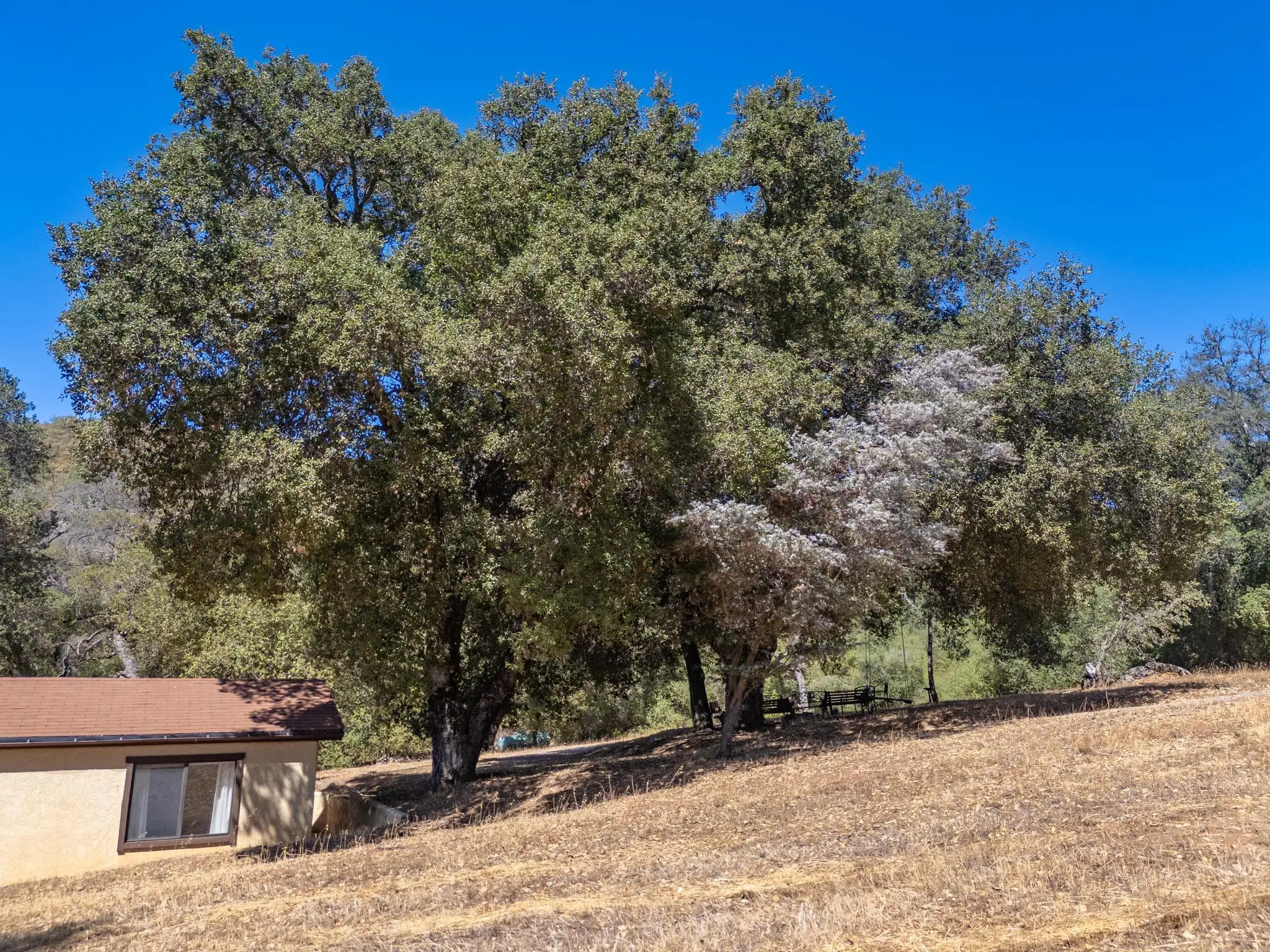 Meadow Ranch