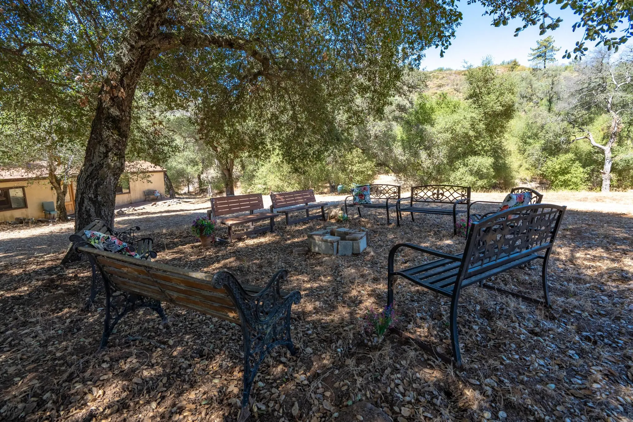 Meadow Ranch