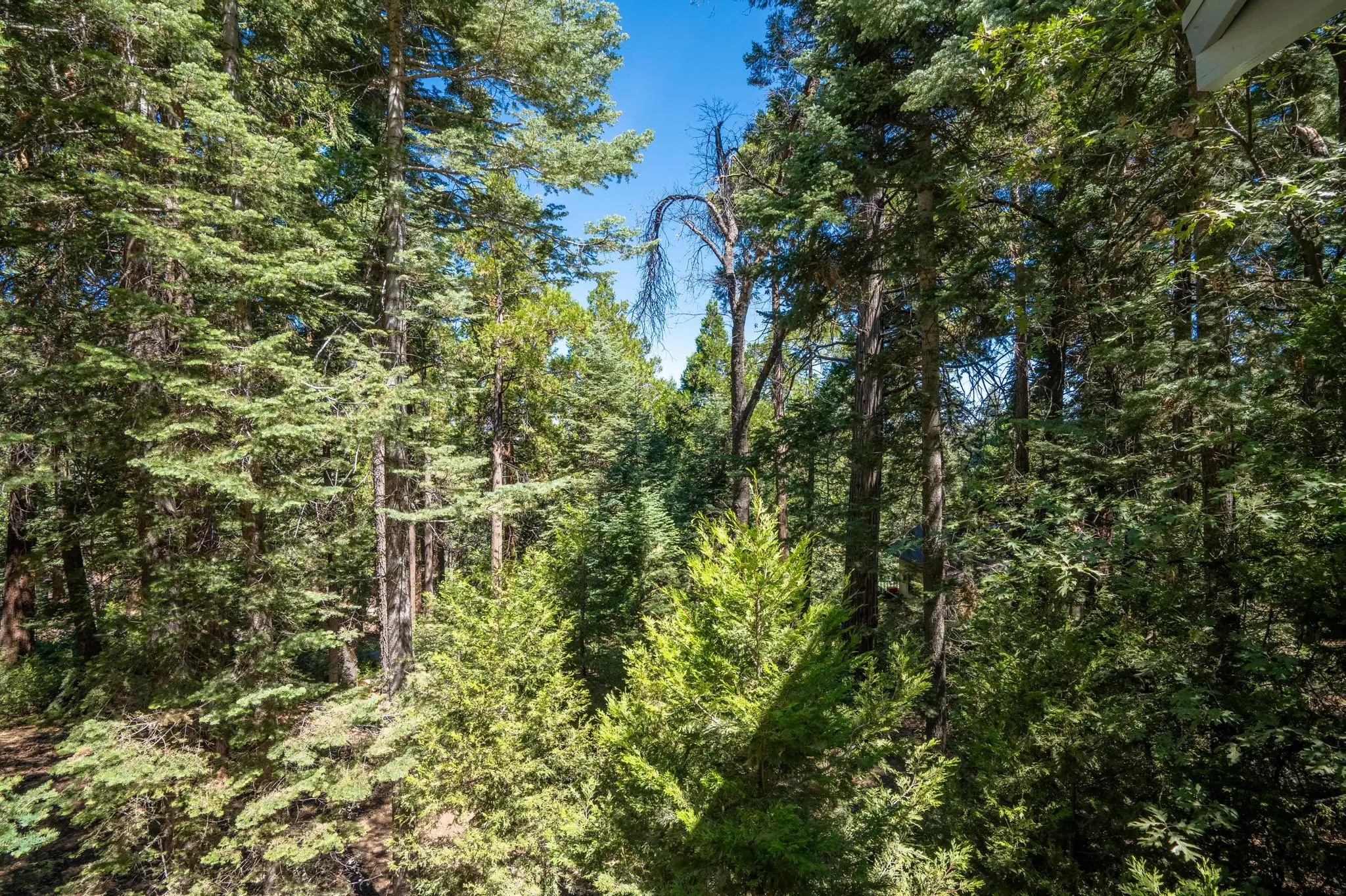 Arrowhead Cabin