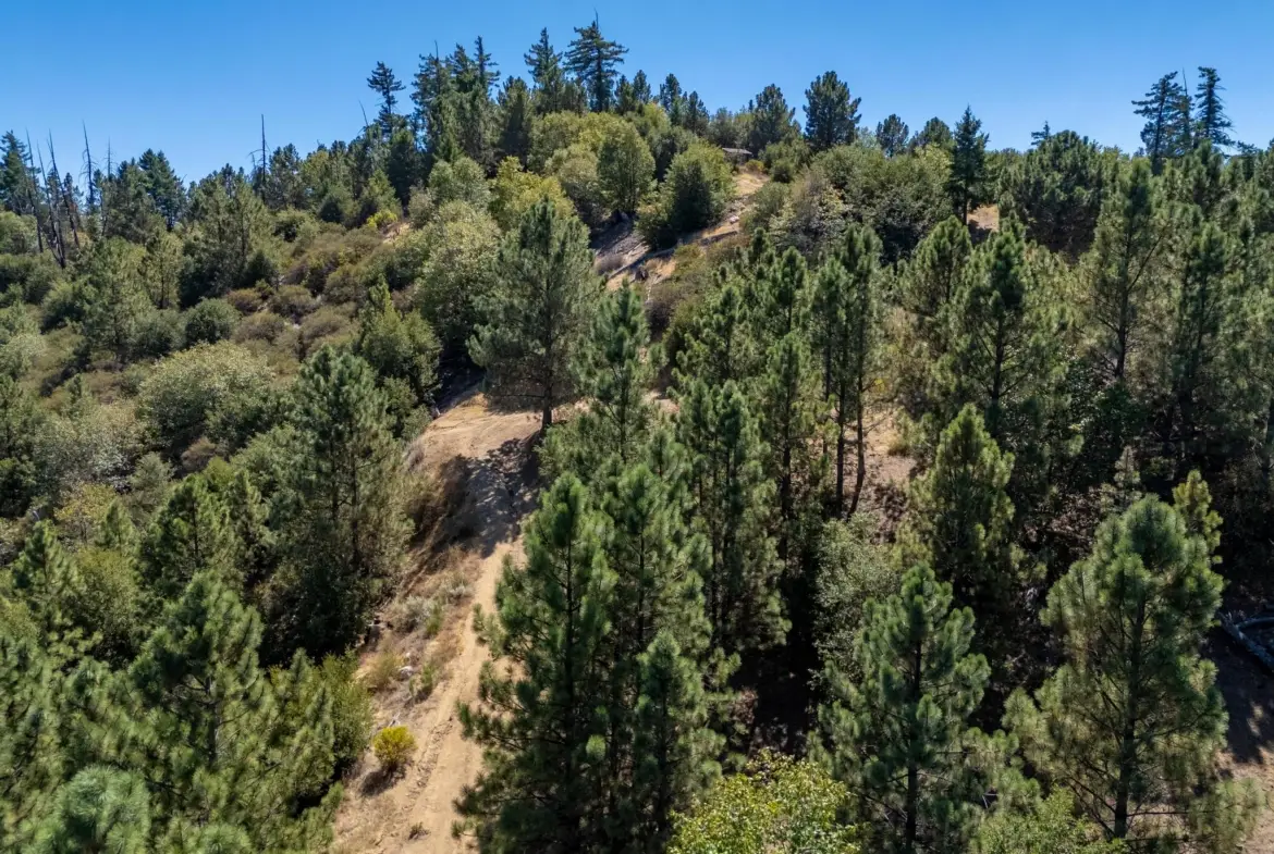 1170