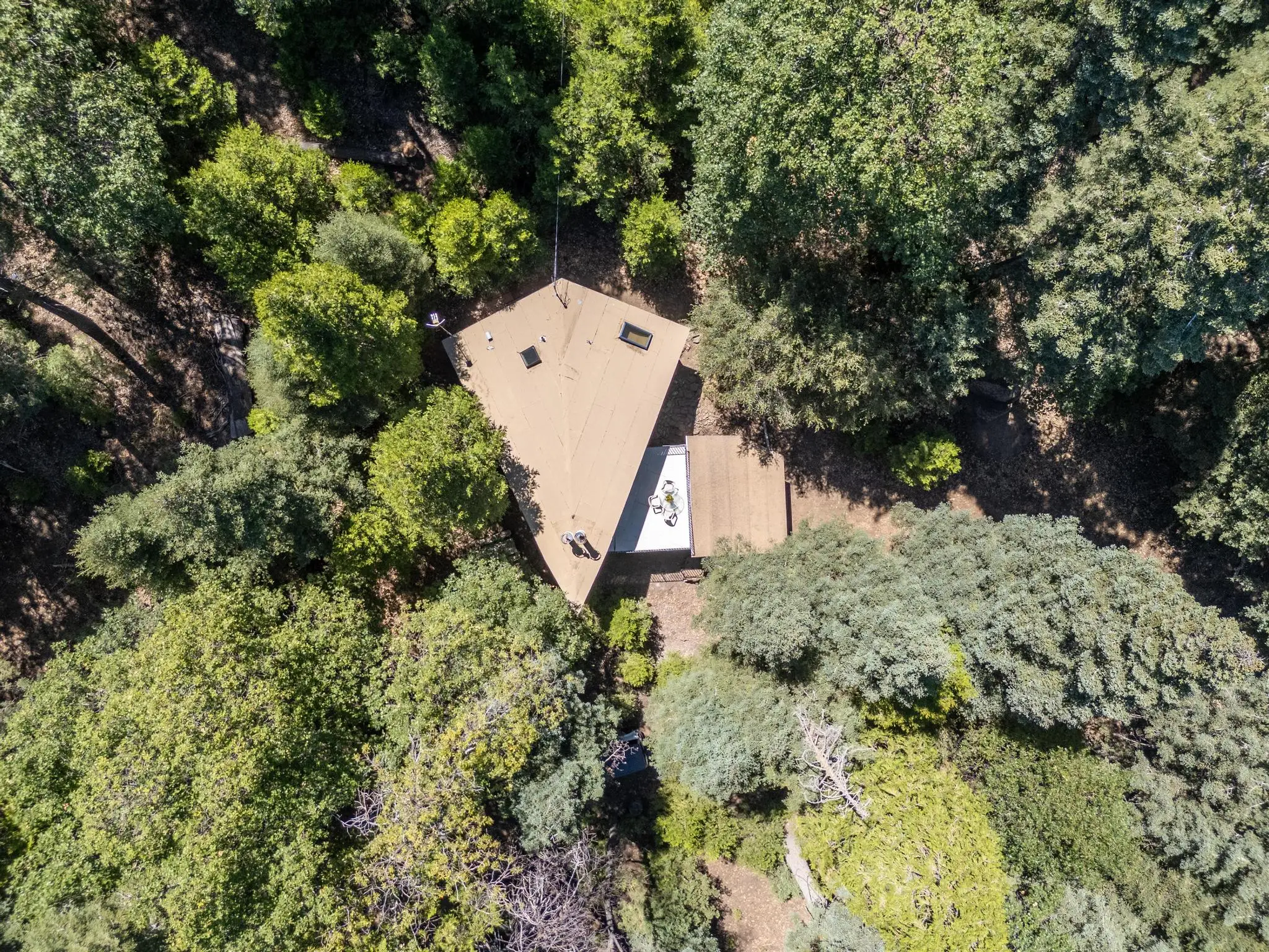 Arrowhead Cabin