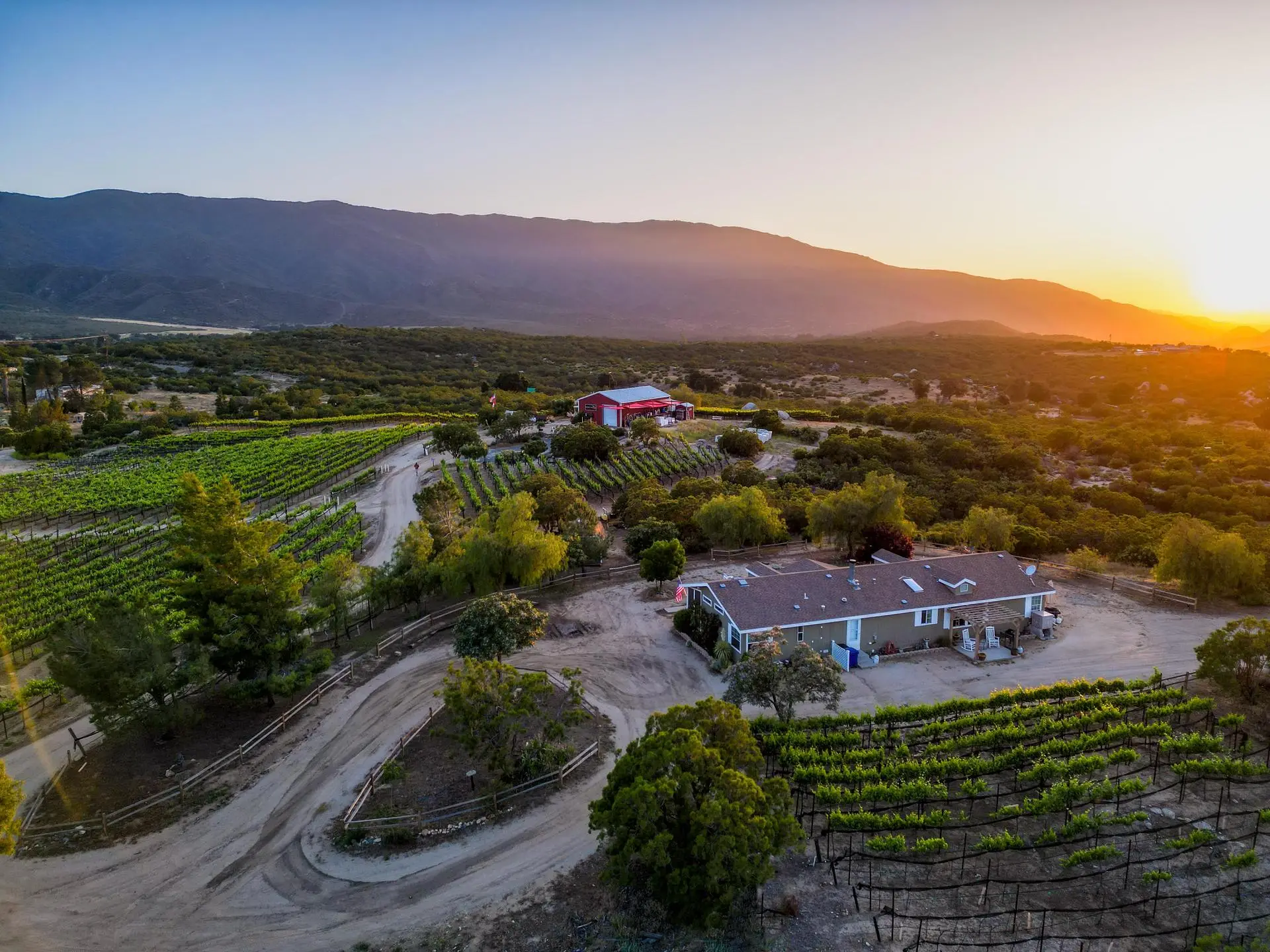 Hawk Watch Vineyard & Residence