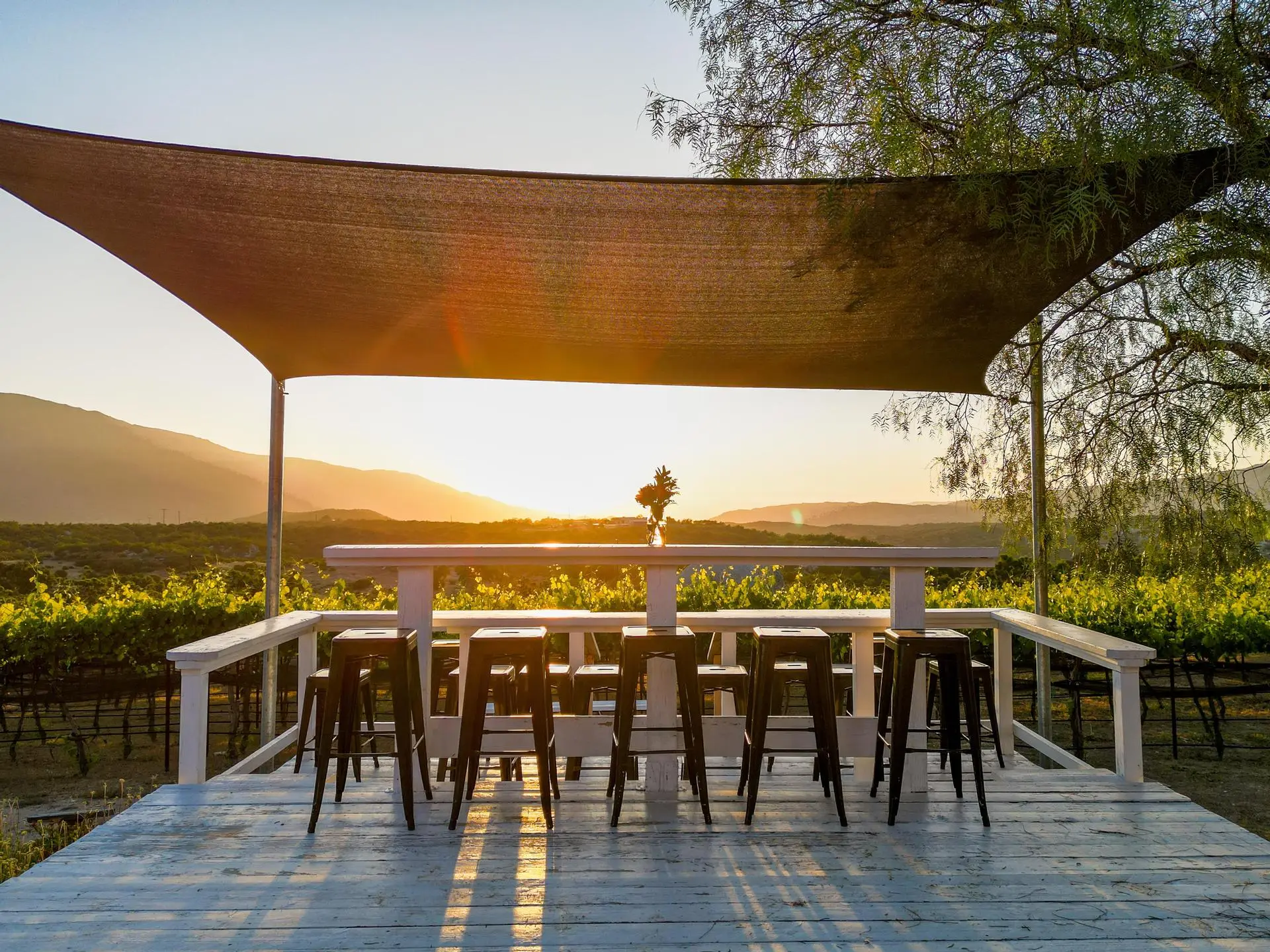 Hawk Watch Vineyard & Residence