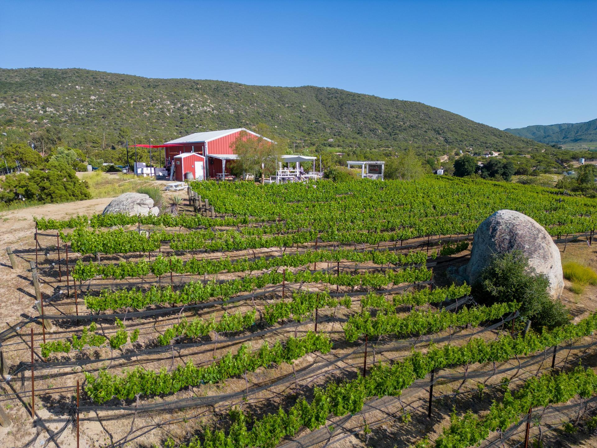 Hawk Watch Vineyard & Residence