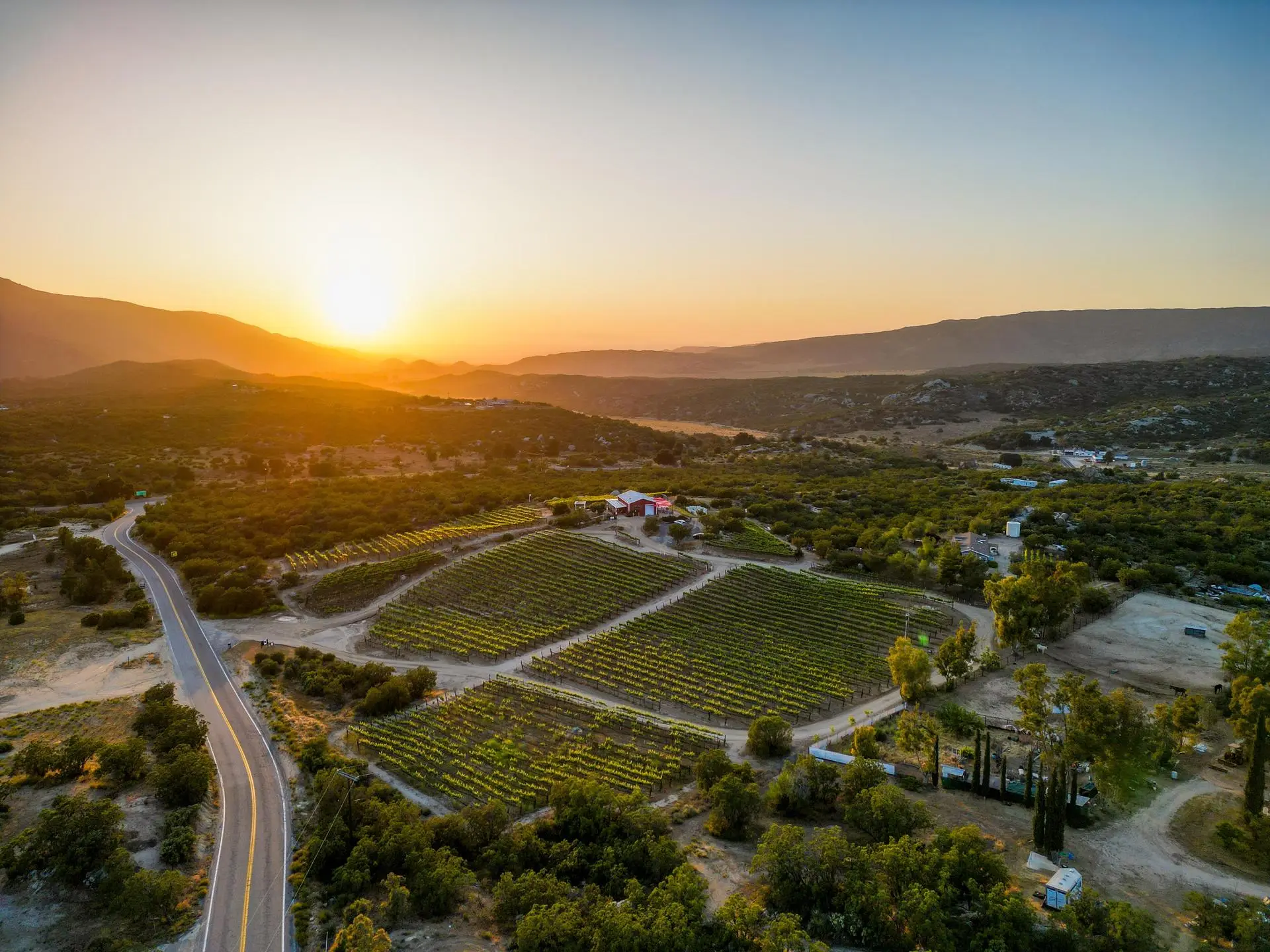 Hawk Watch Vineyard & Residence