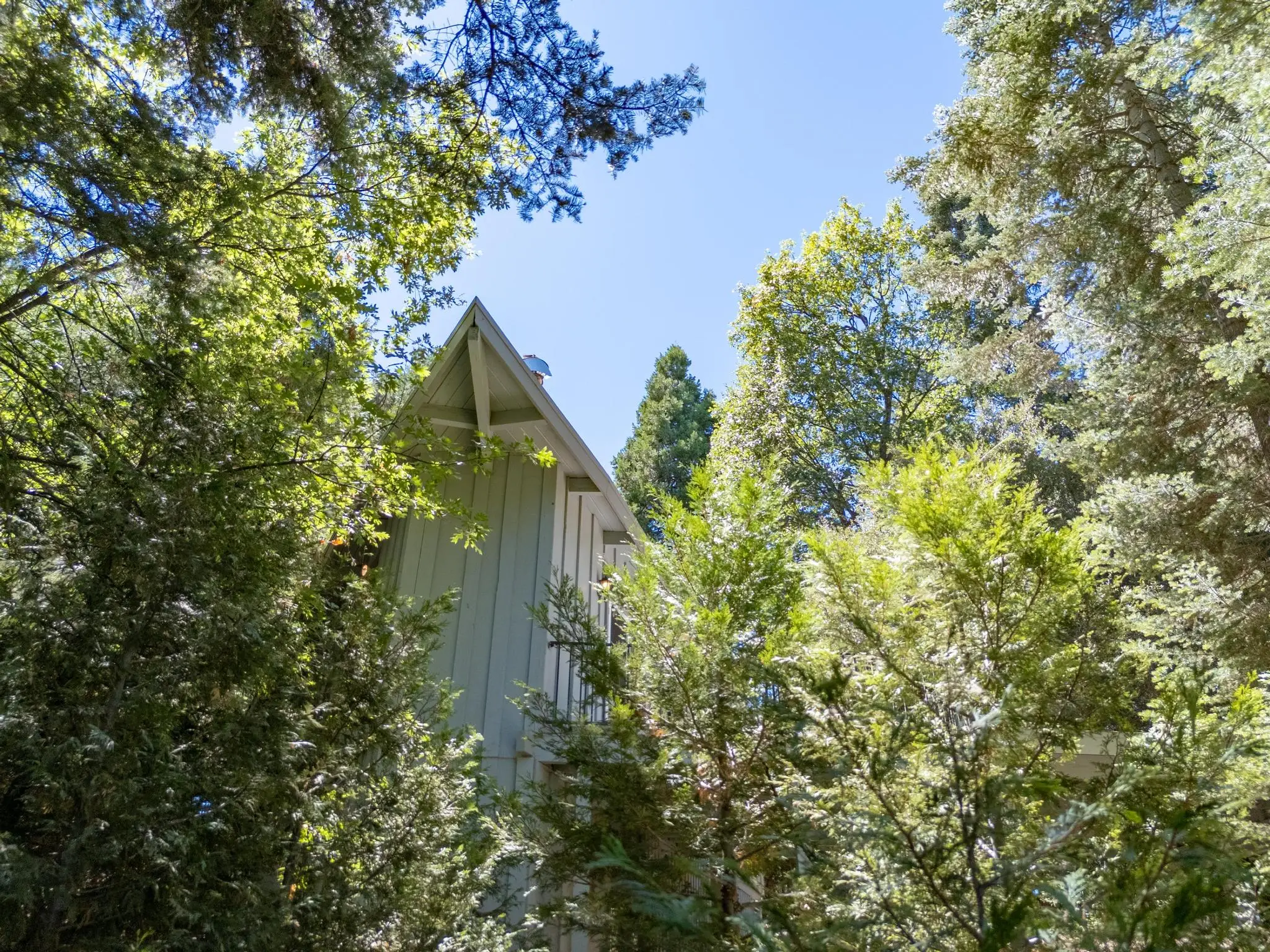 Arrowhead Cabin