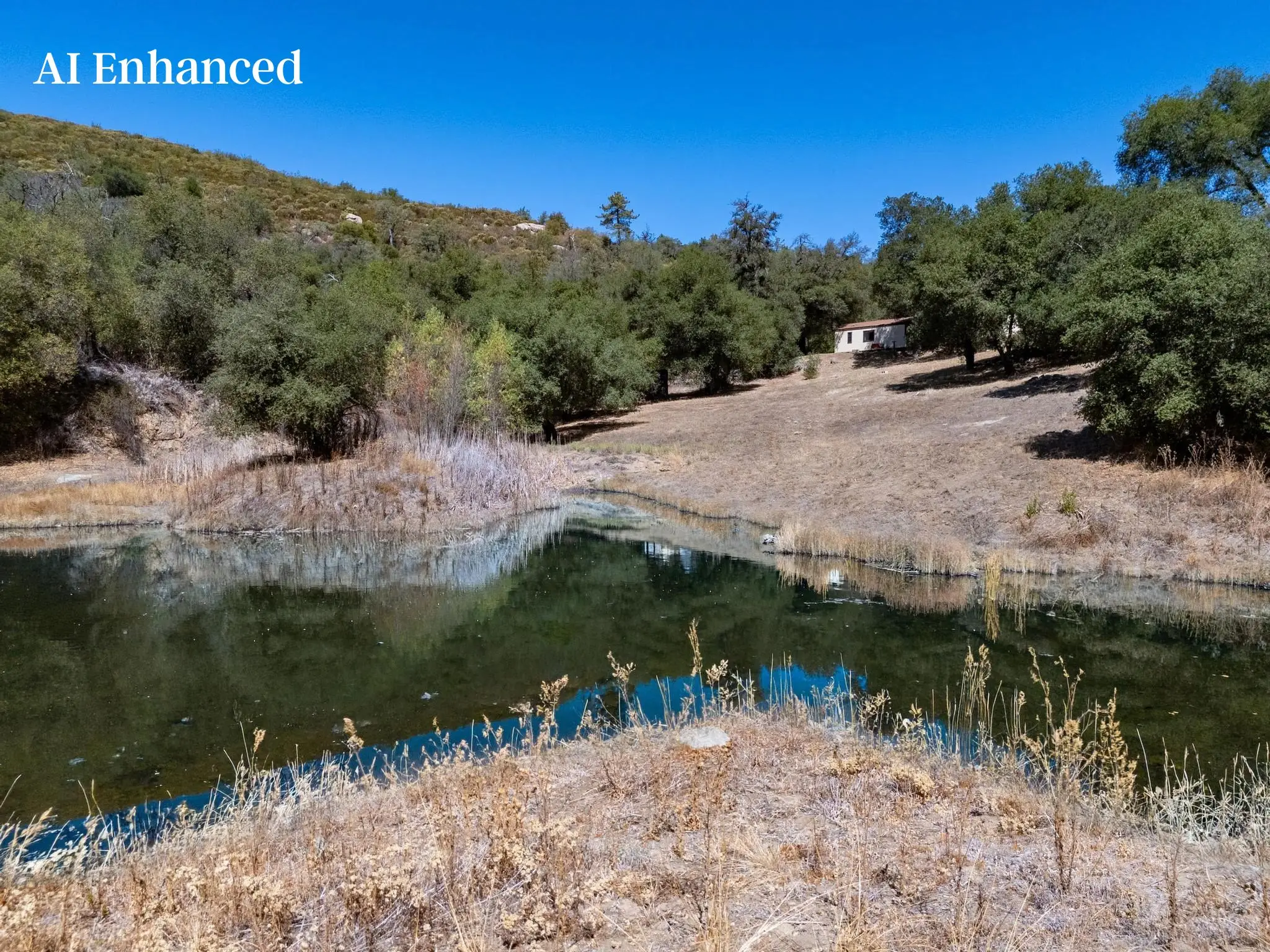 Meadow Ranch