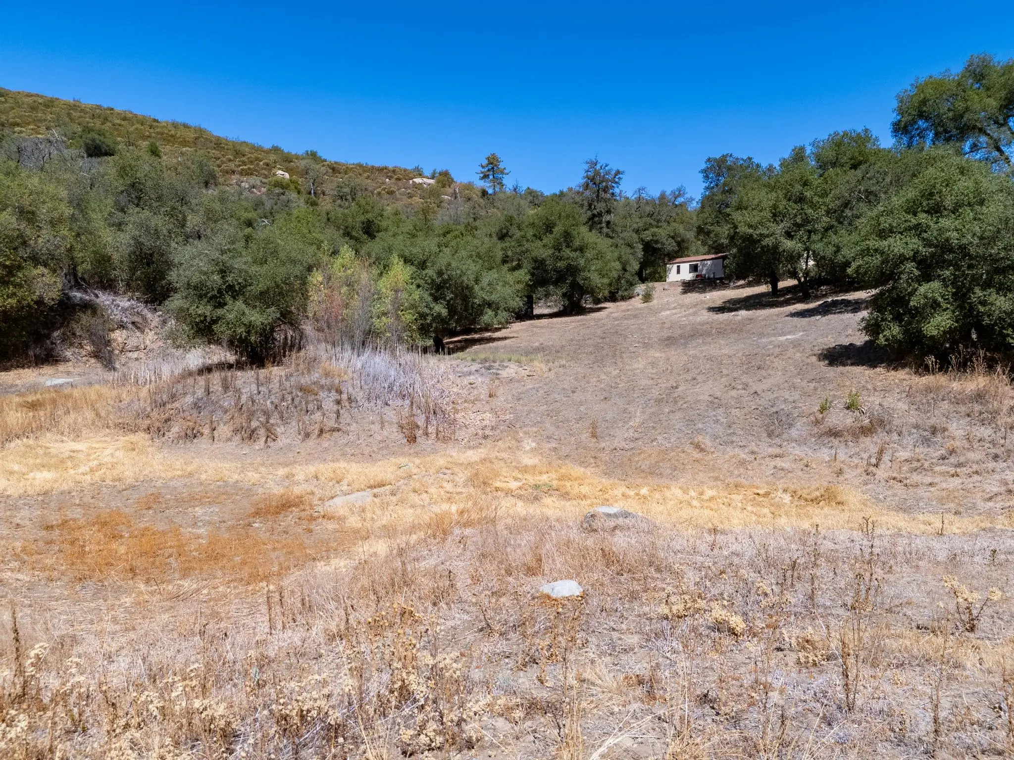 Meadow Ranch