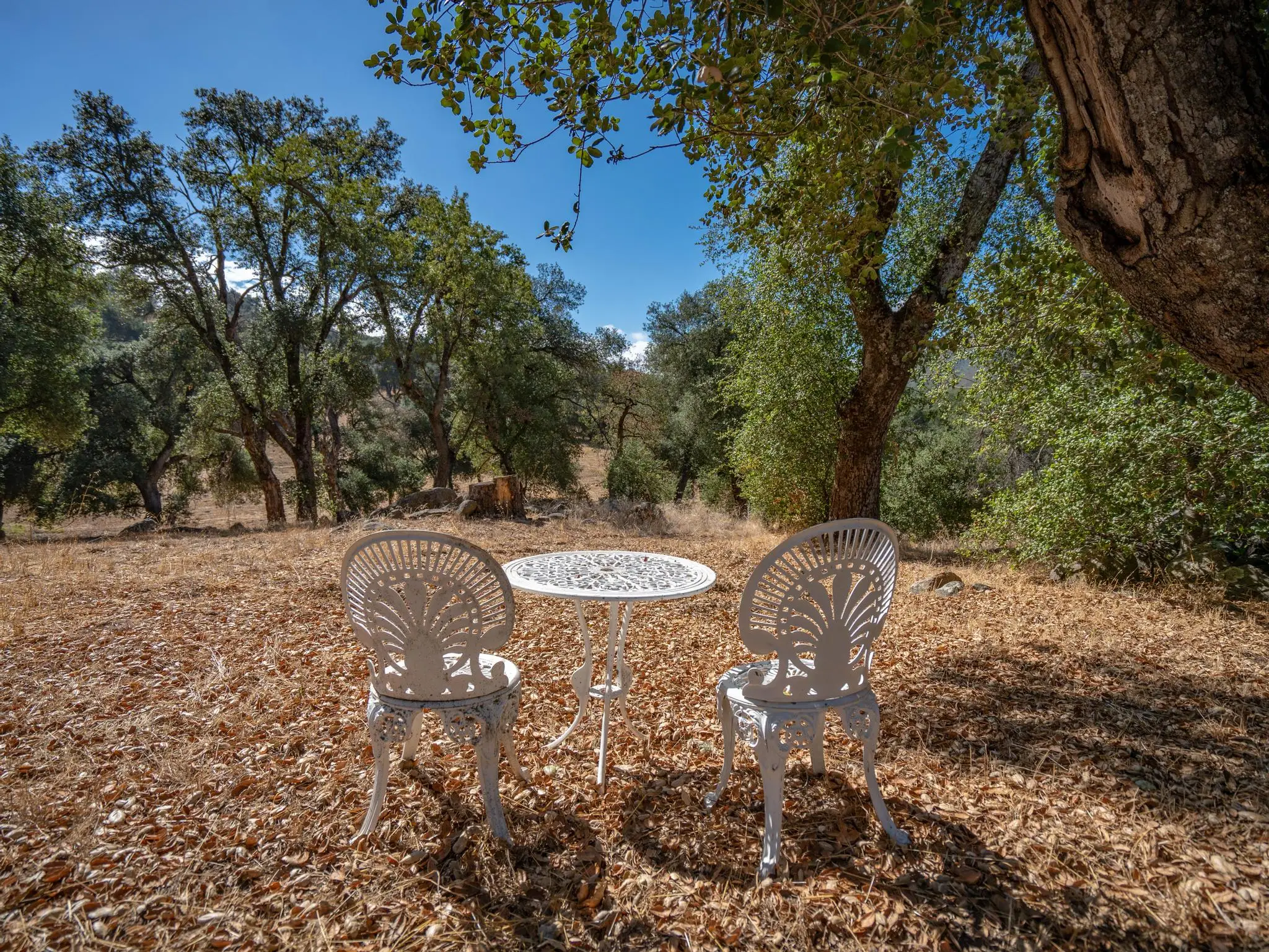 Meadow Ranch
