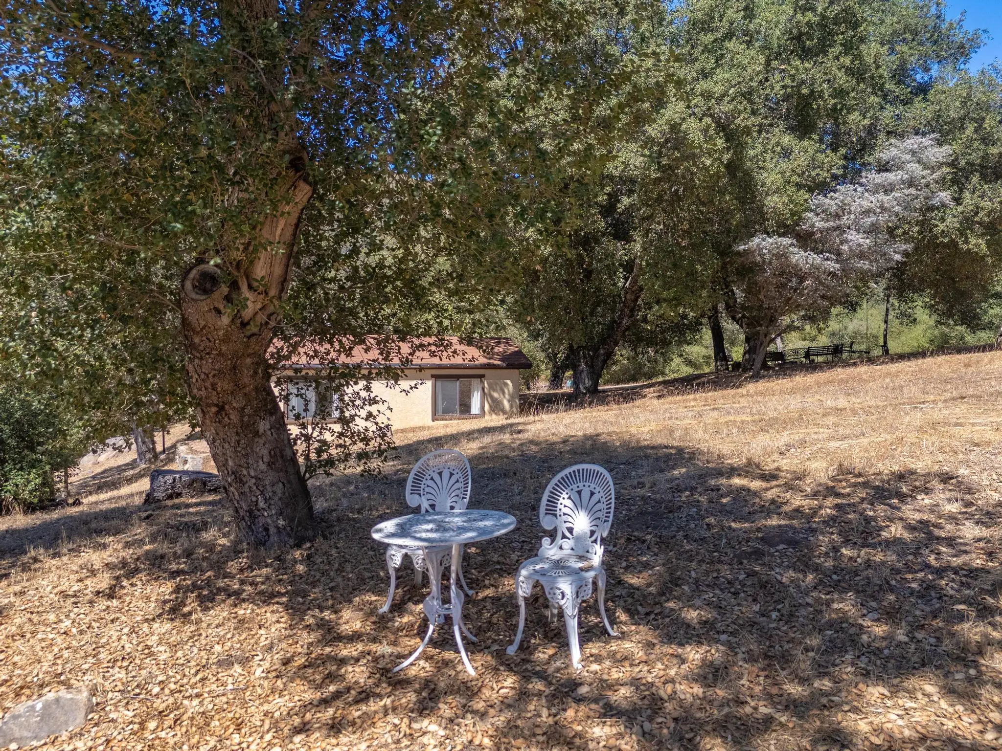 Meadow Ranch