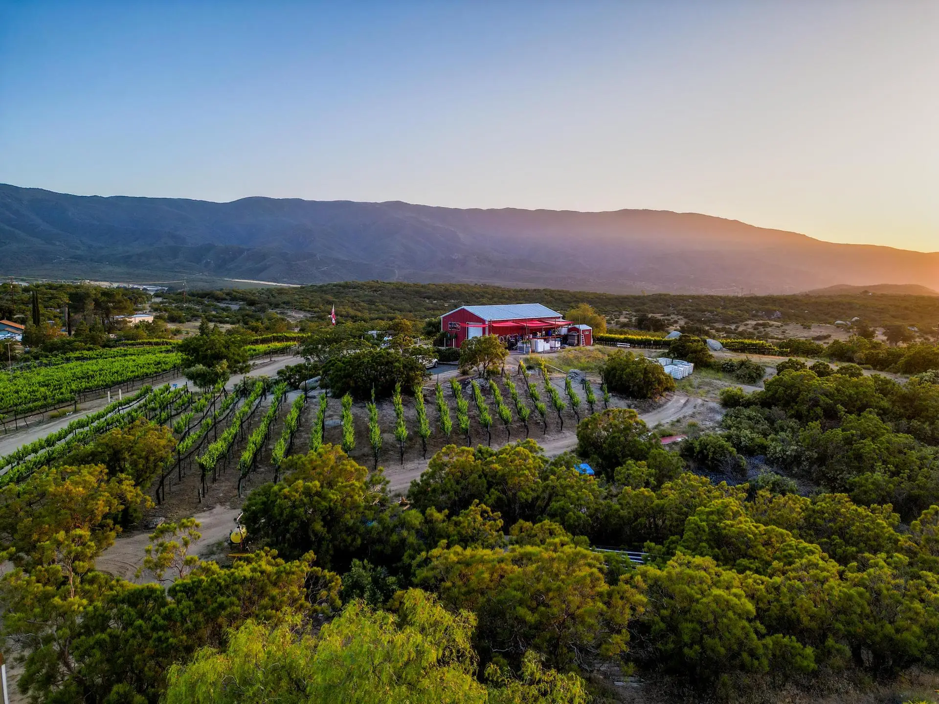 Hawk Watch Vineyard & Residence
